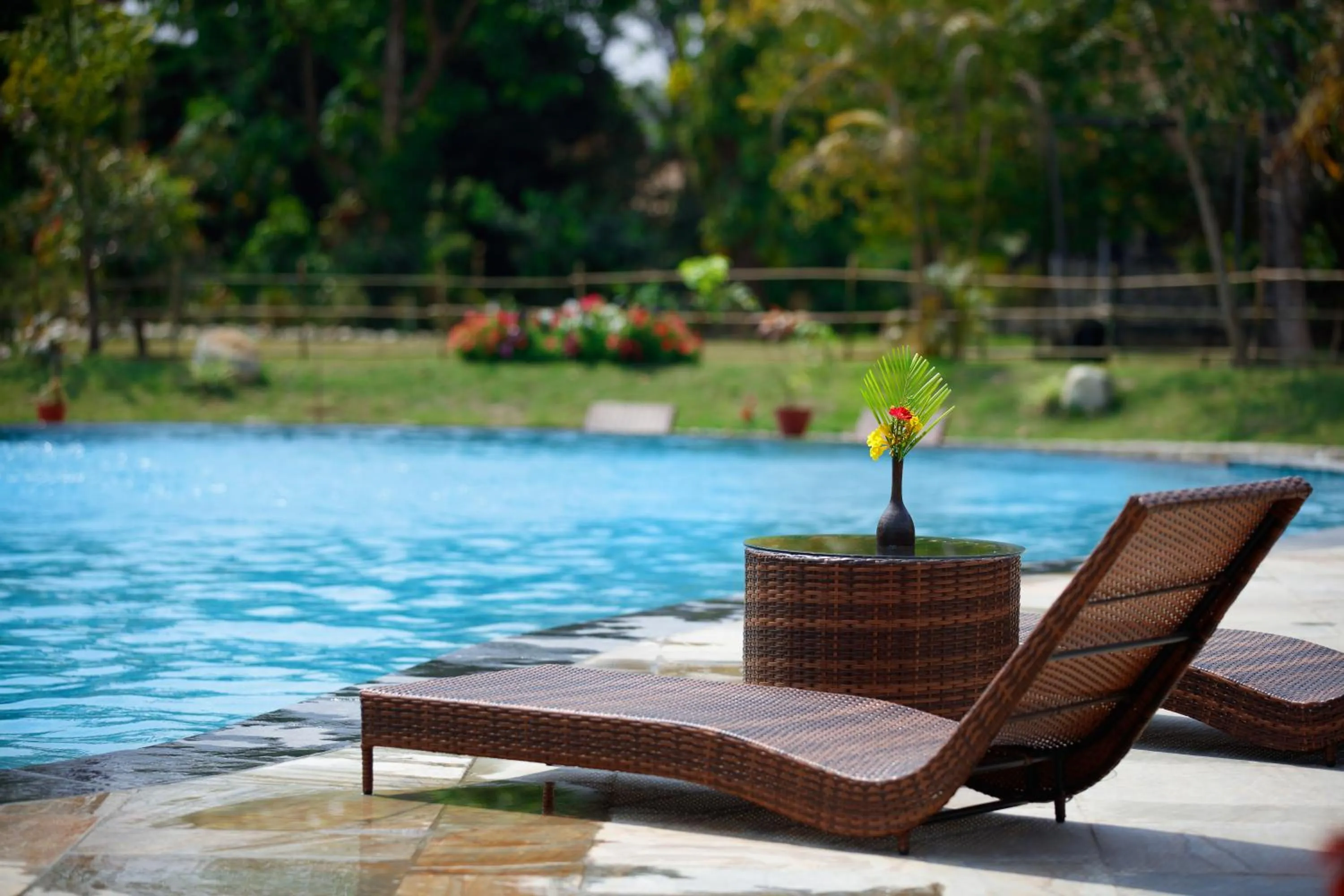 Swimming pool in Jungle Villa Resort - Near Chitwan National Park