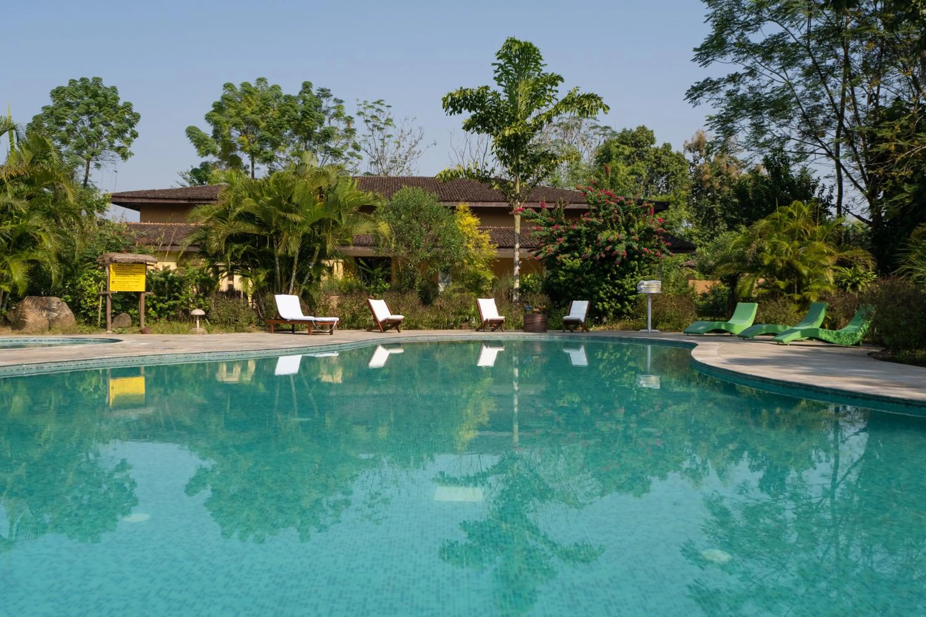 Swimming pool in Jungle Villa Resort - Near Chitwan National Park
