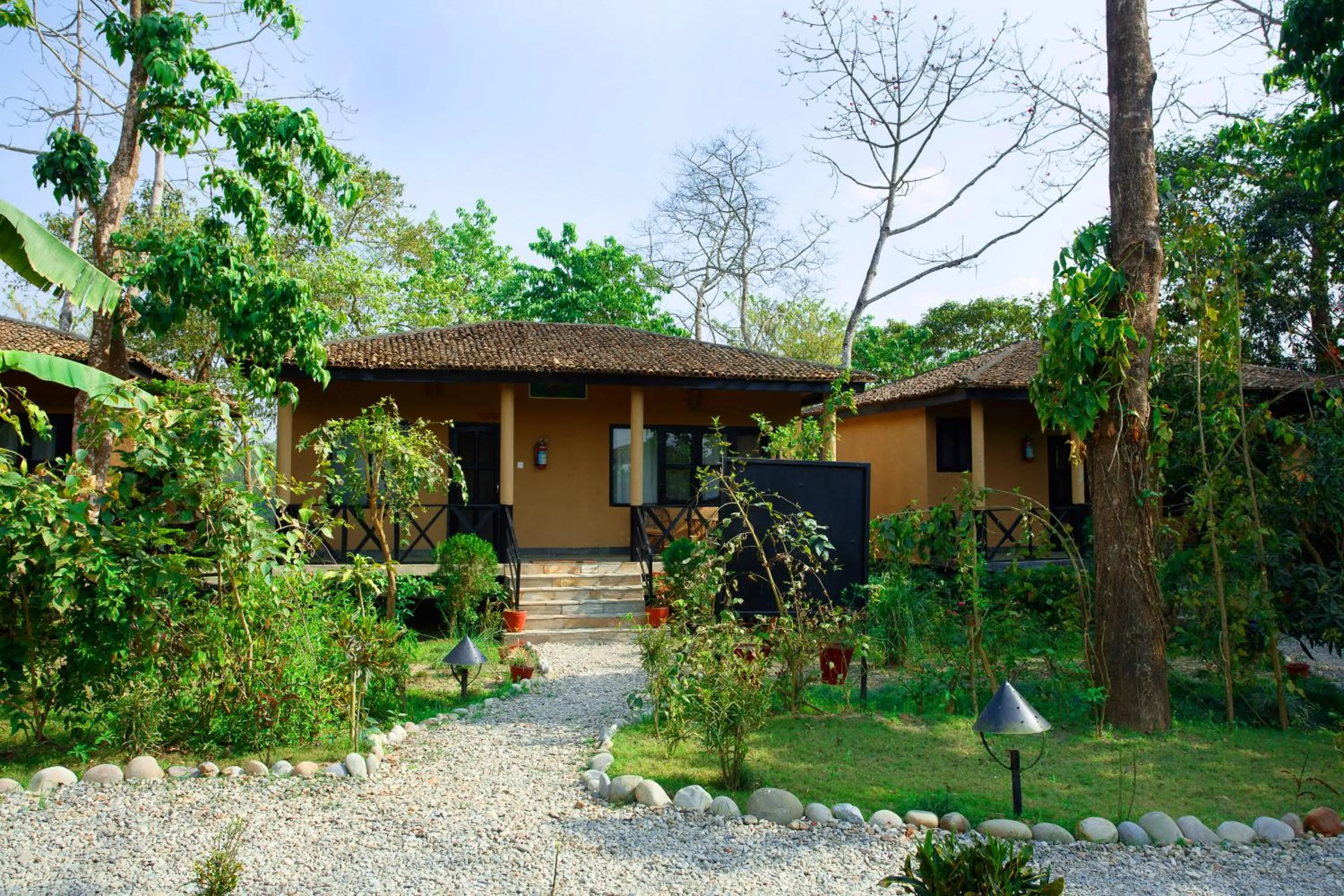 Garden in Jungle Villa Resort - Near Chitwan National Park