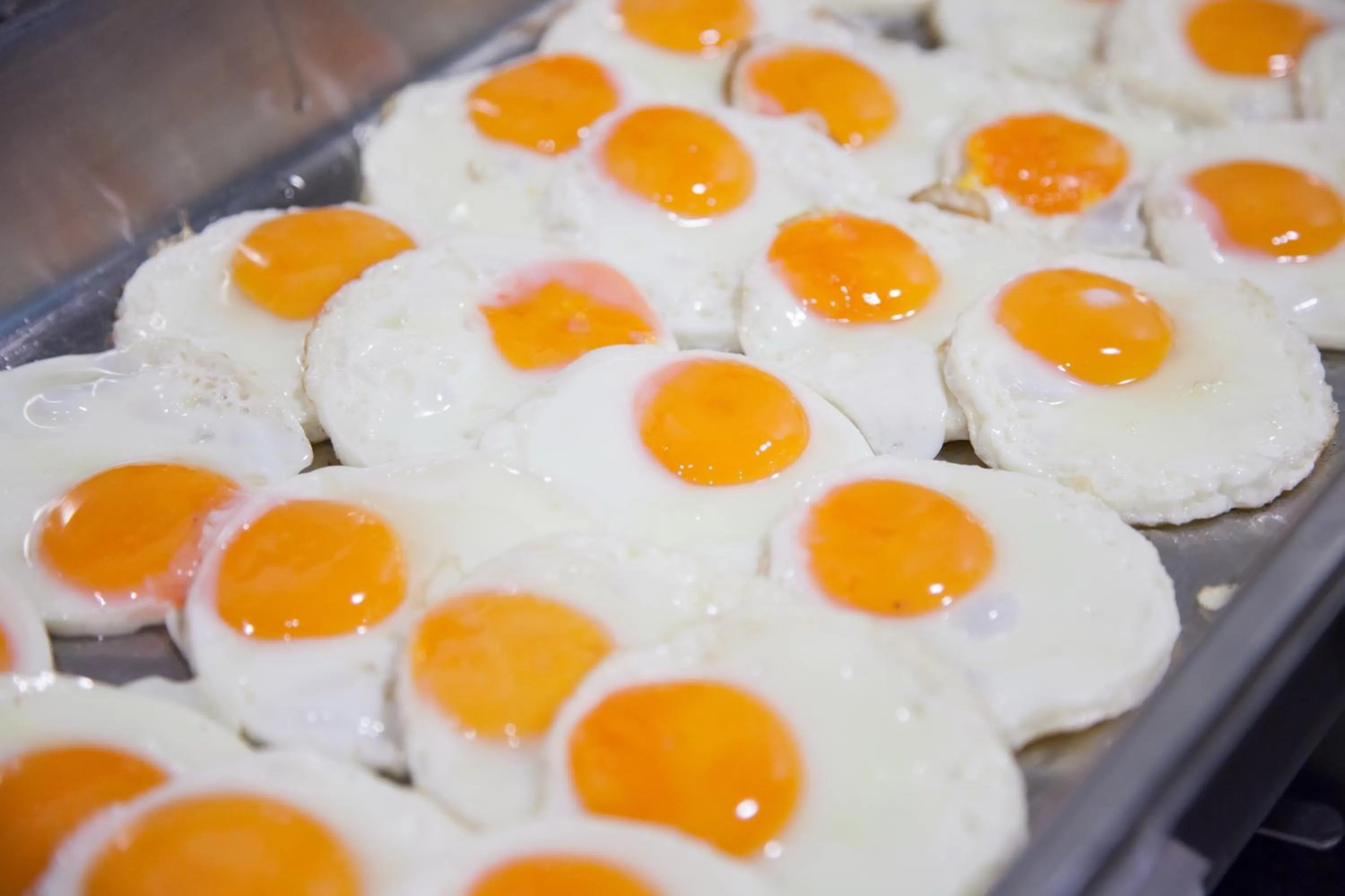 Breakfast in Baumancasa Beach Resort