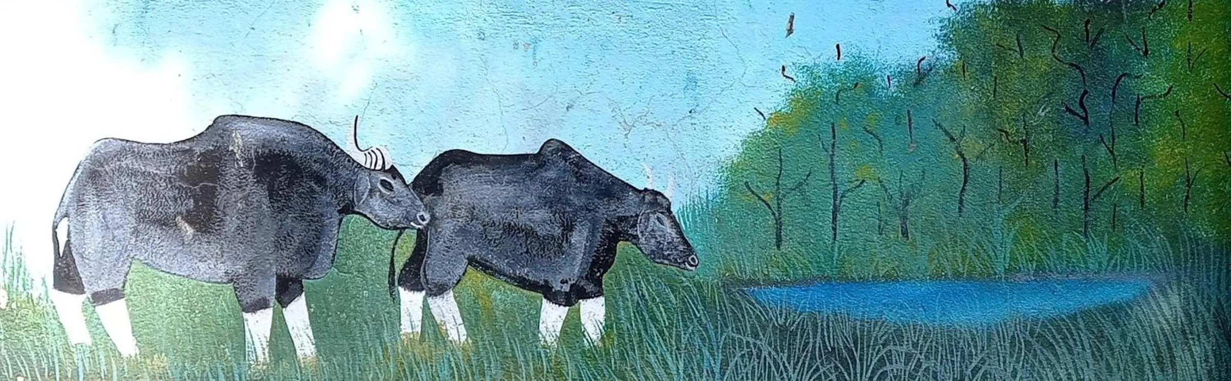 Tiger Residency Resort