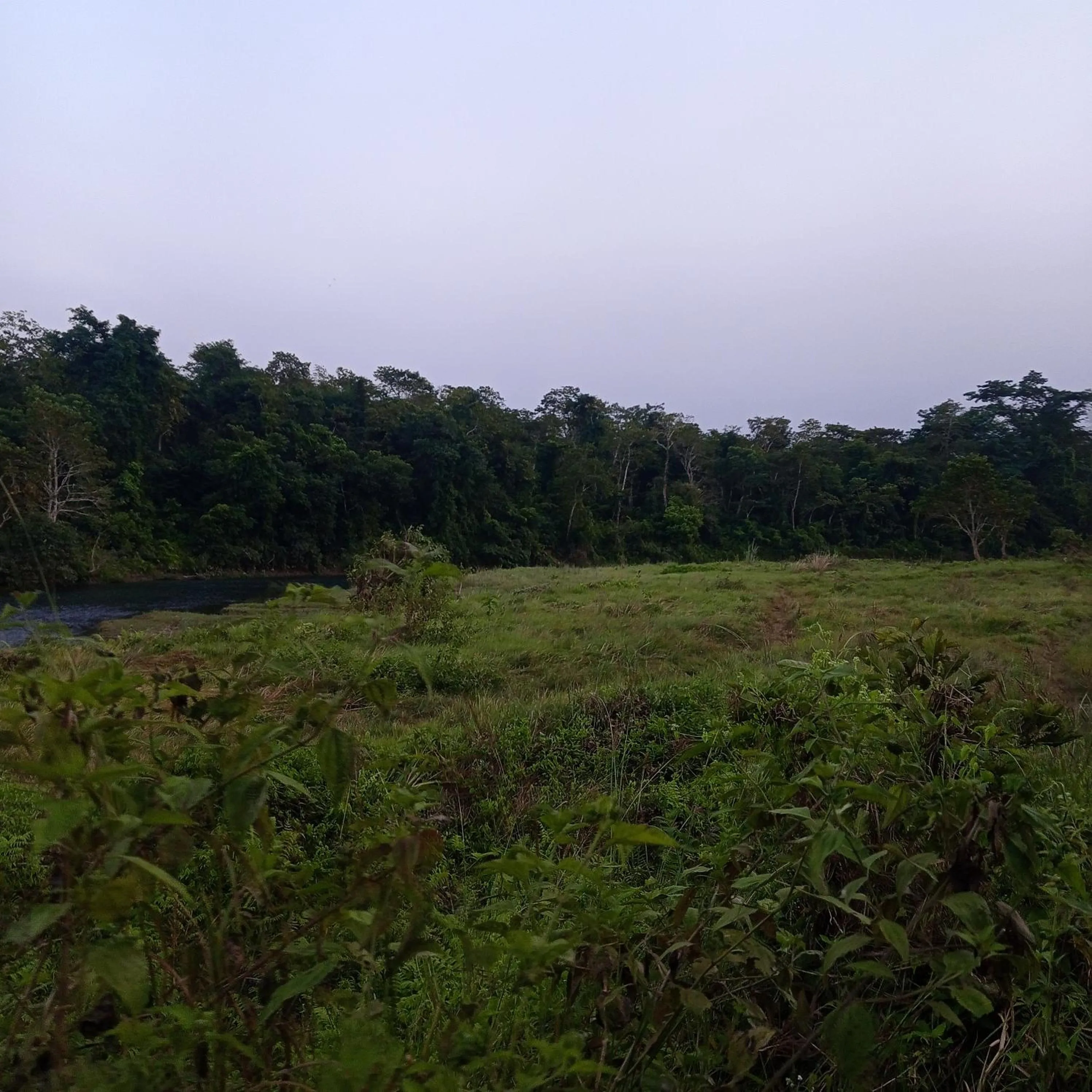 Natural landscape in Tiger Residency Resort