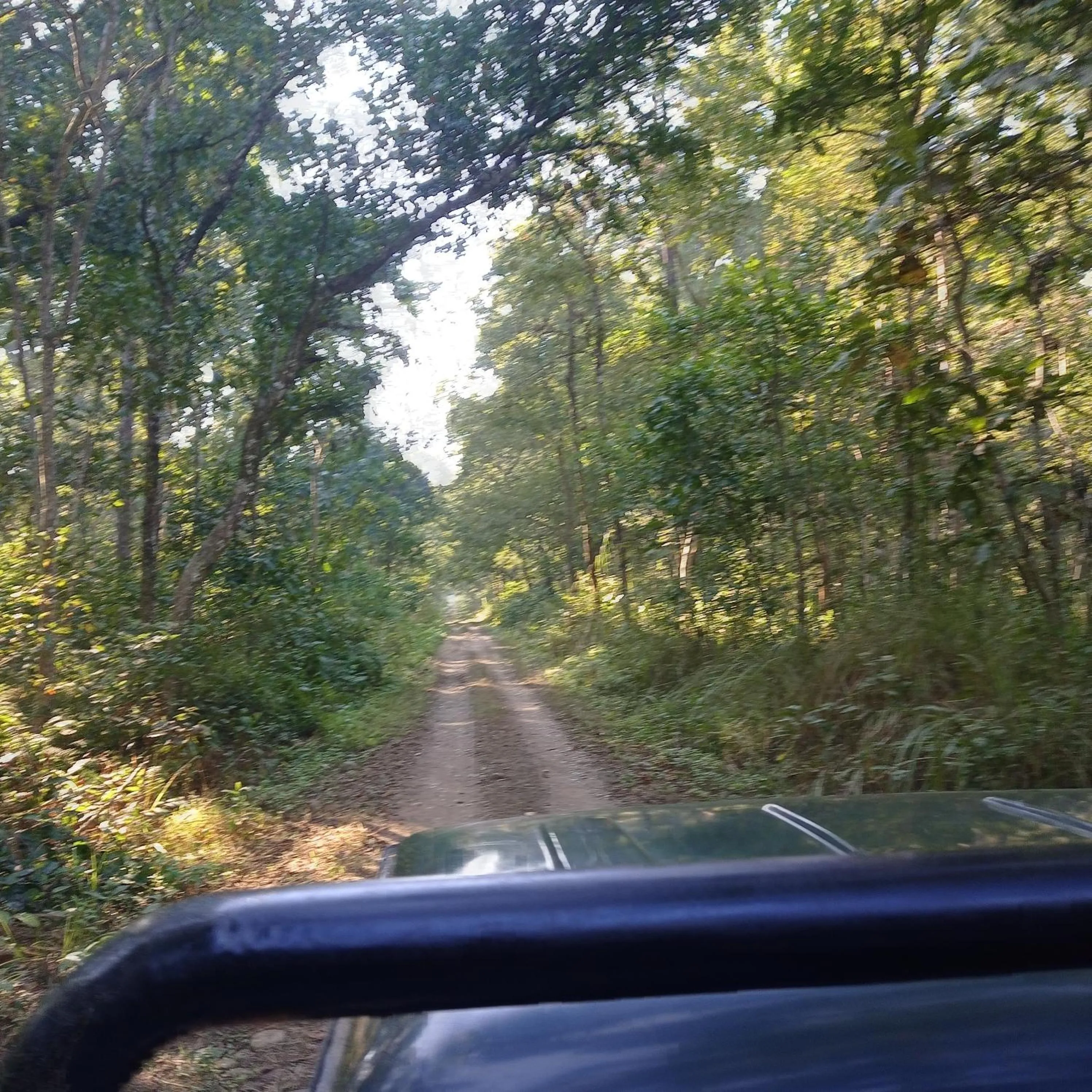 Tiger Residency Resort