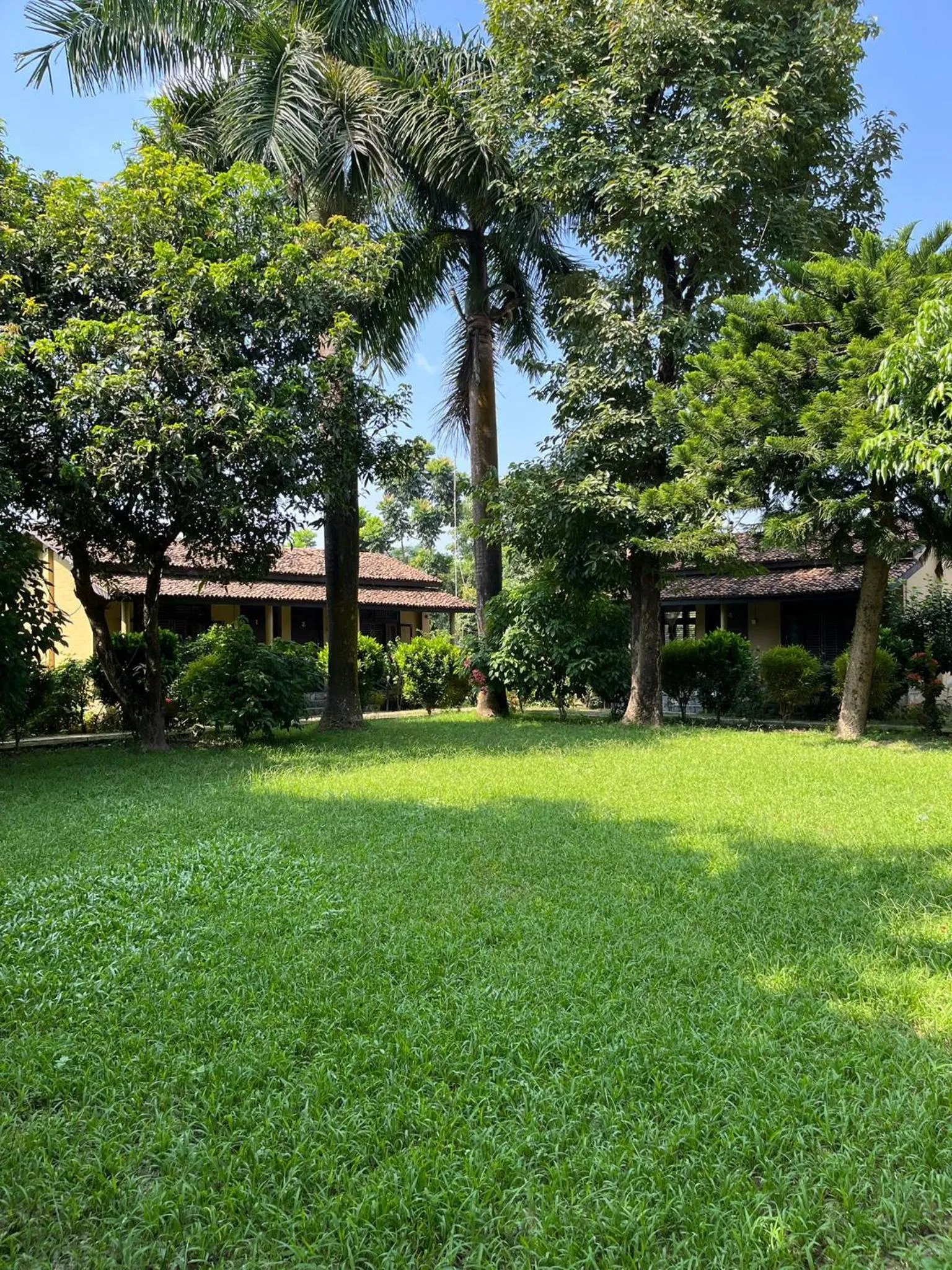 Natural landscape in Tiger Residency Resort