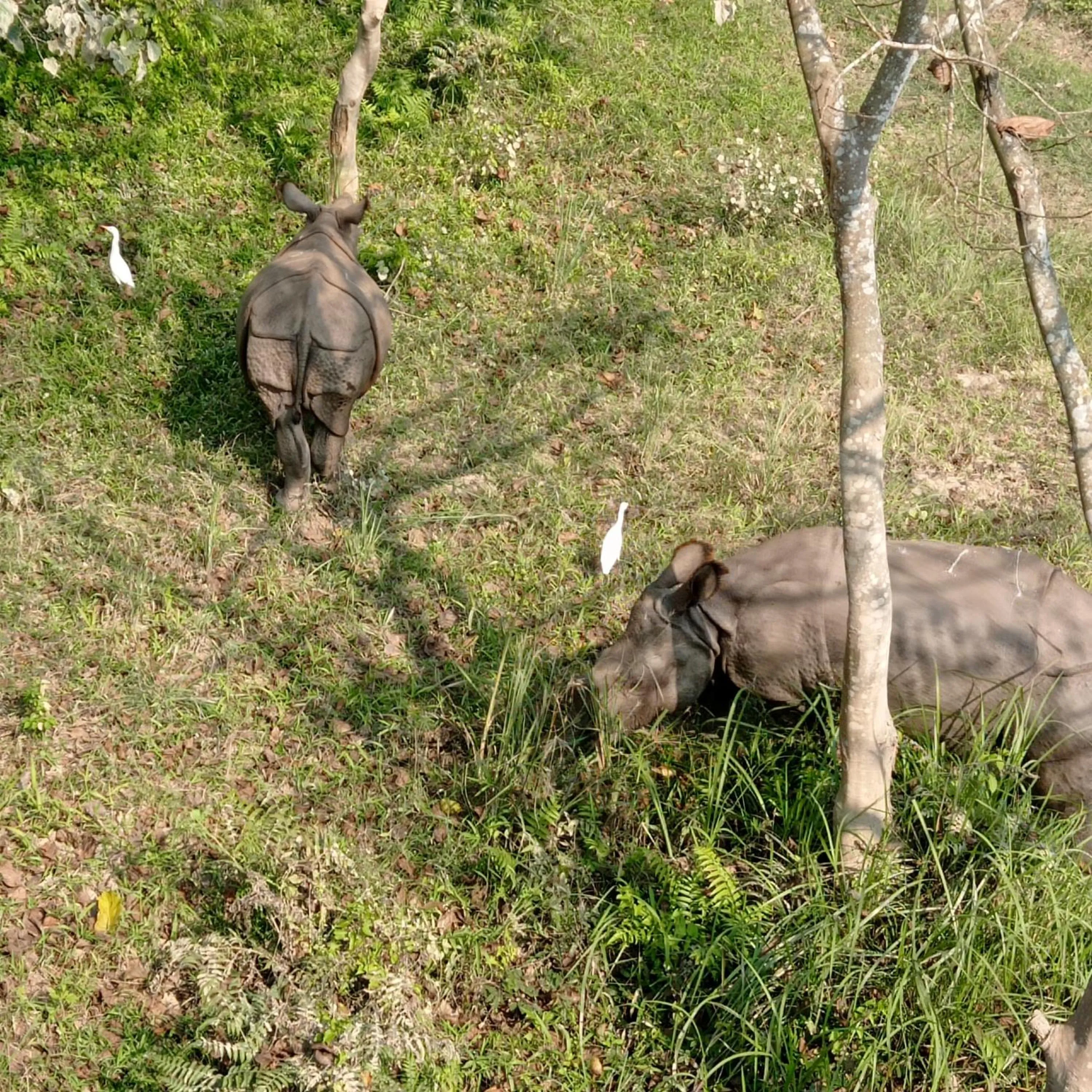 Tiger Residency Resort