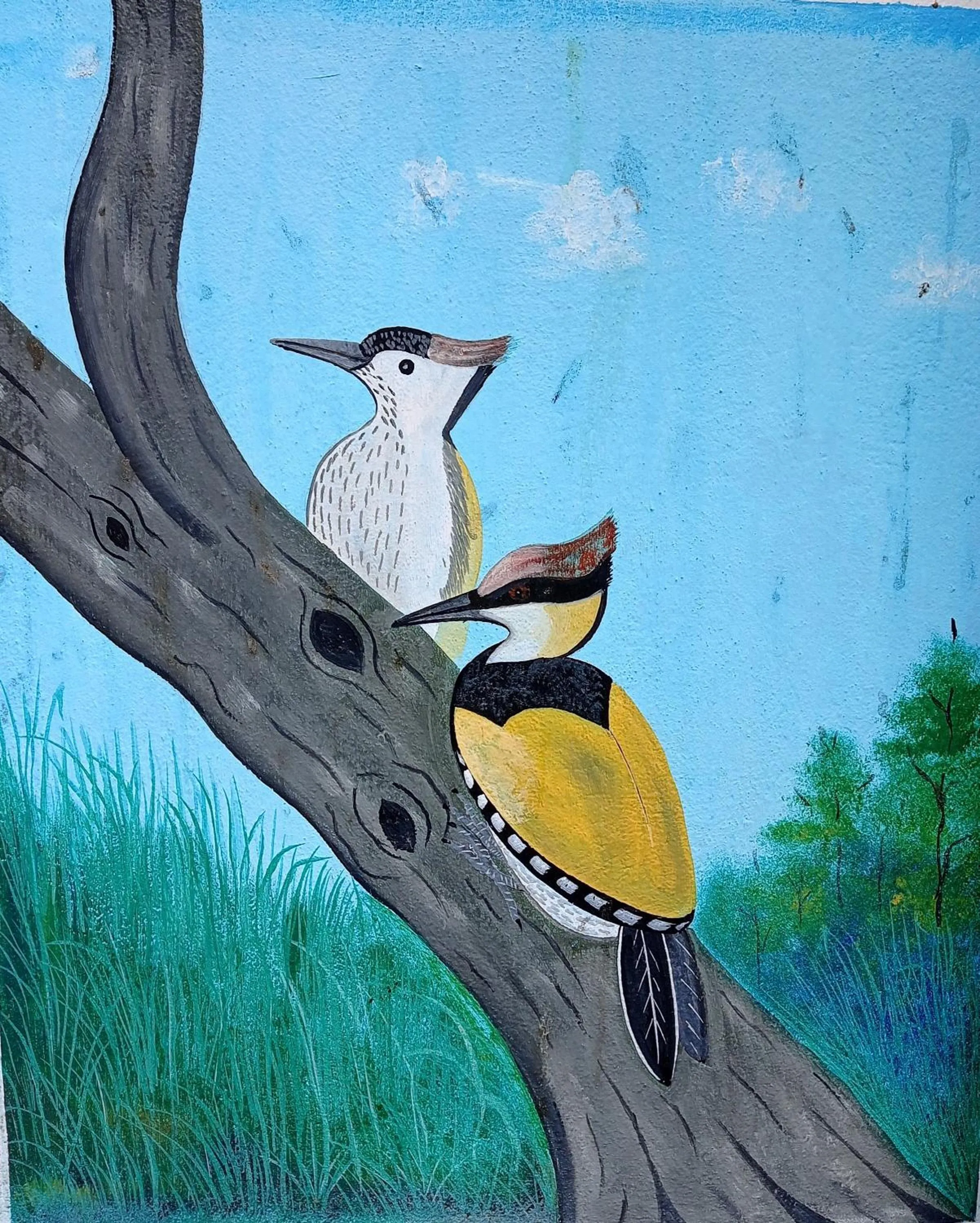 Tiger Residency Resort