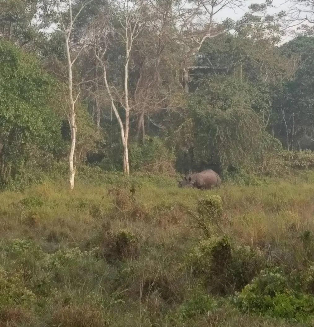 Tiger Residency Resort