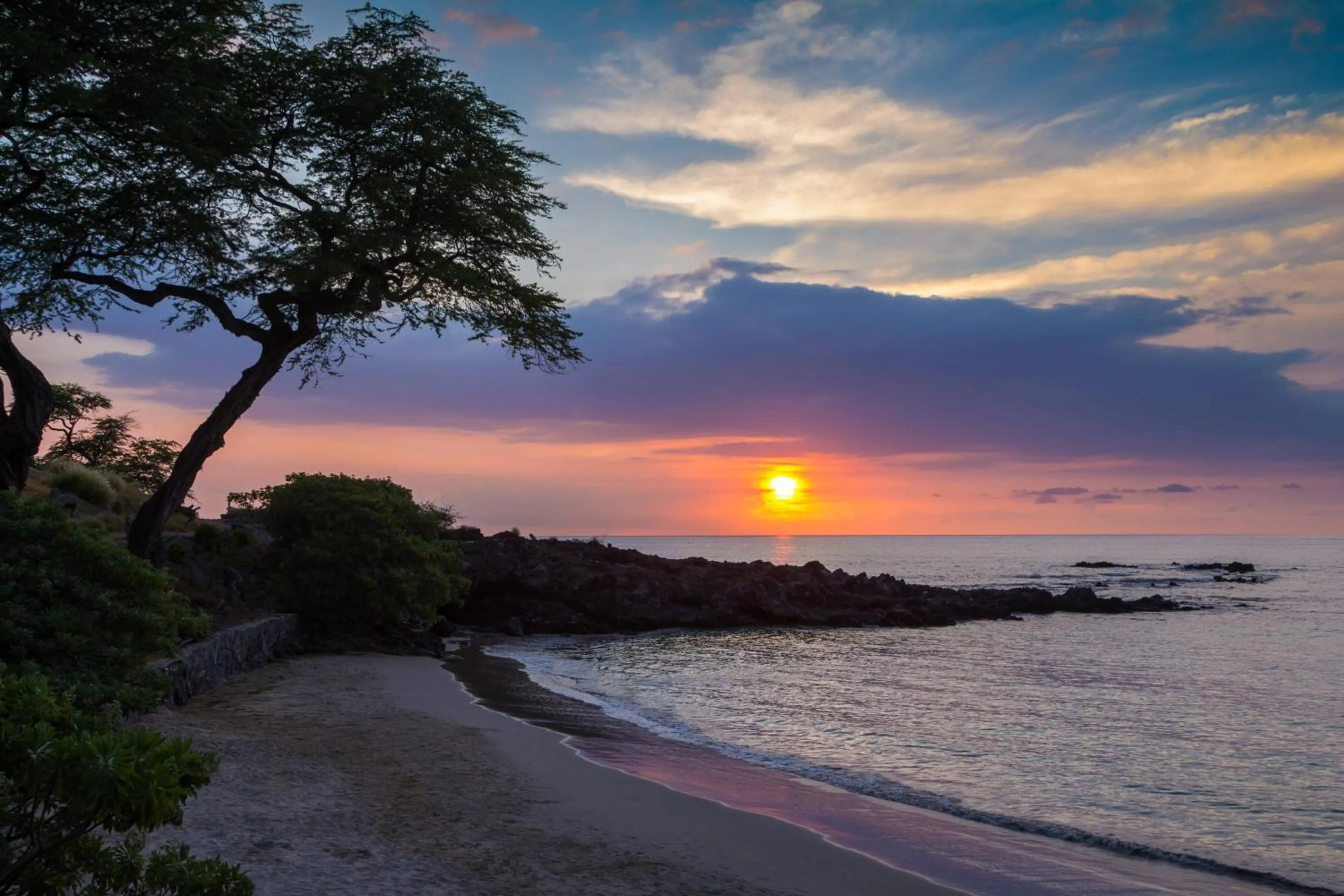 View (from property/room) in Mauna Kea Beach Hotel, Autograph Collection