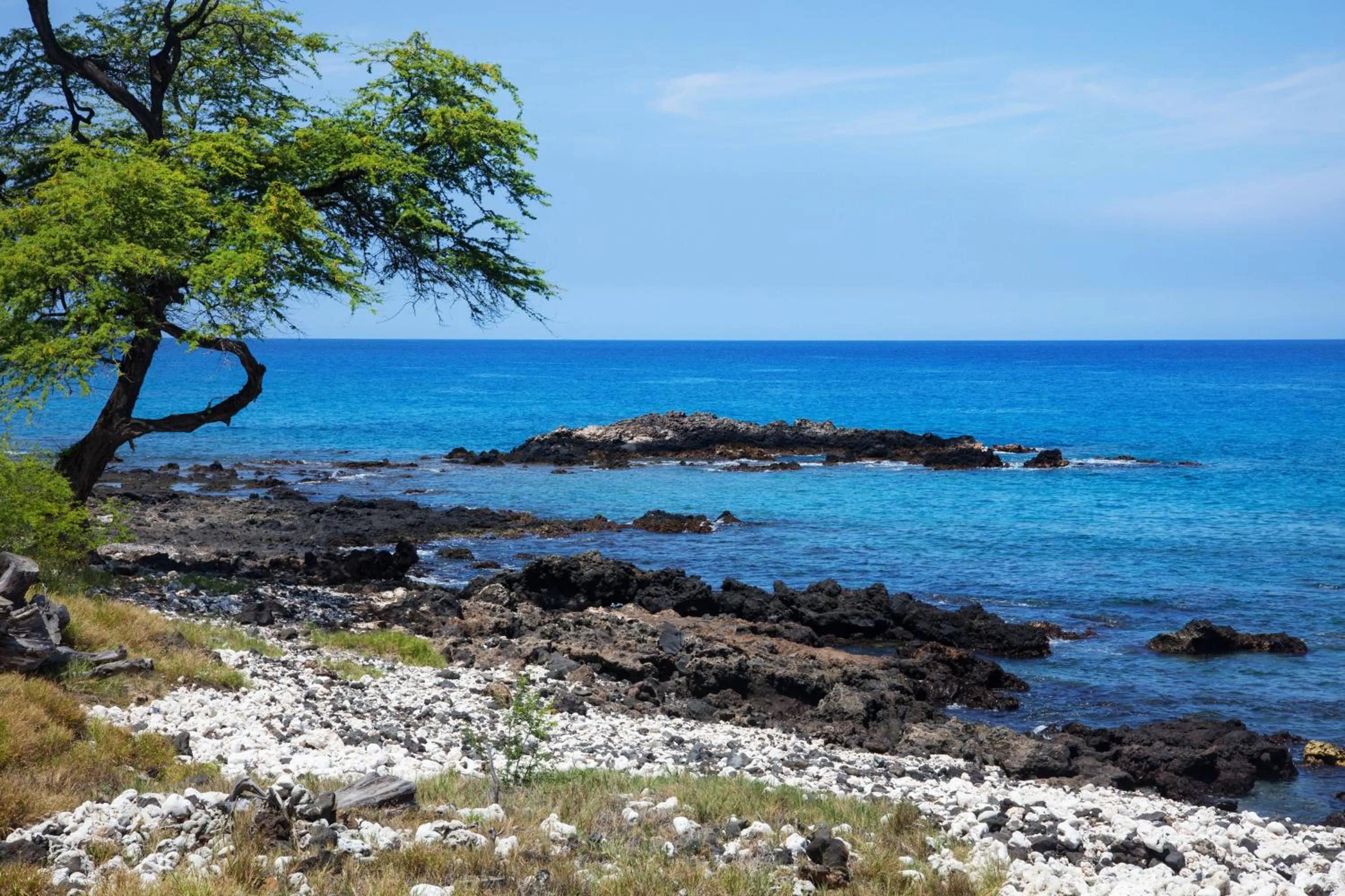 Beach in Mauna Kea Beach Hotel, Autograph Collection