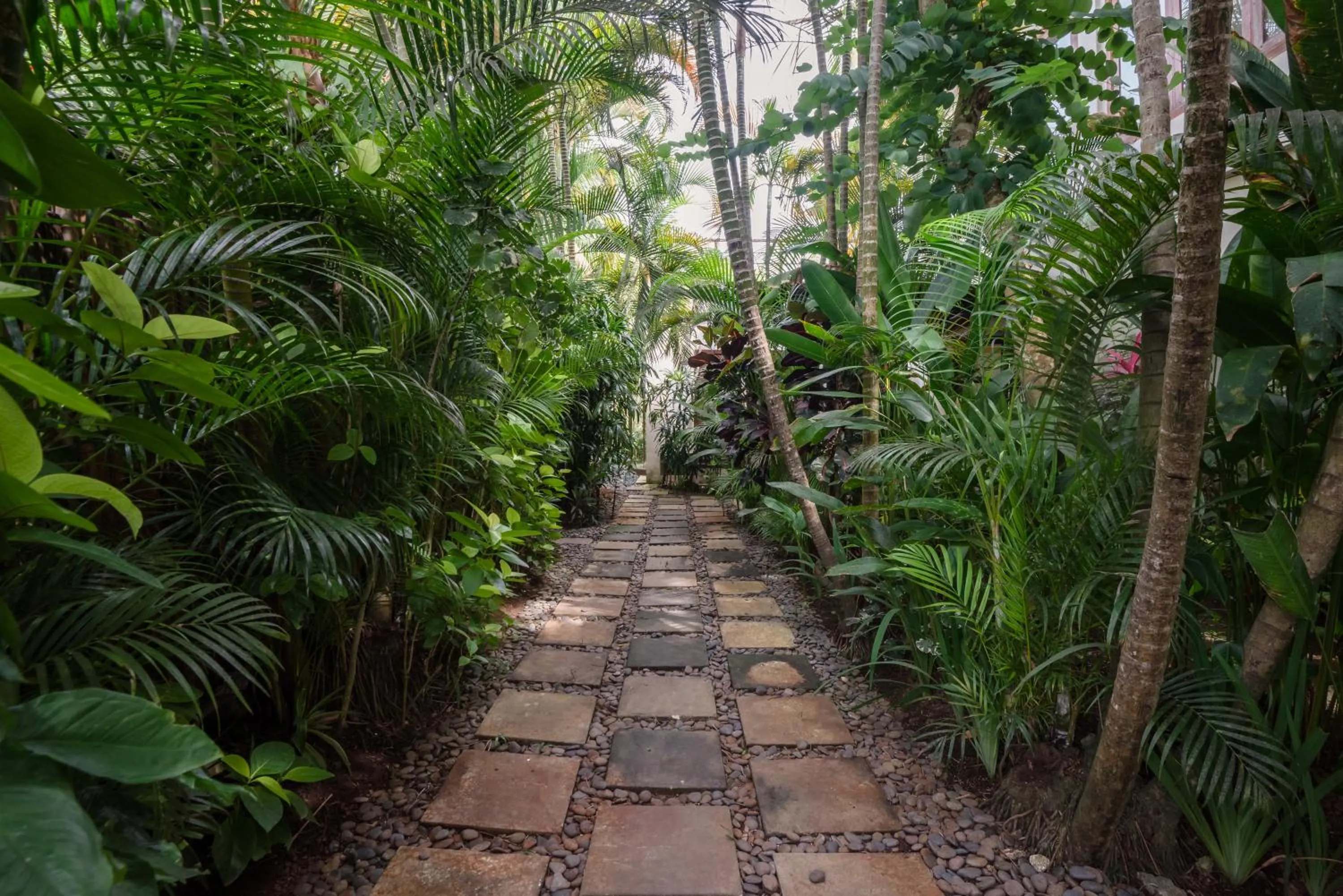 Garden in Dream View Villa