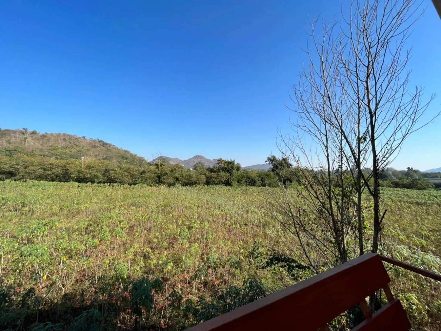 View (from property/room) in Rak Na Khaoyai