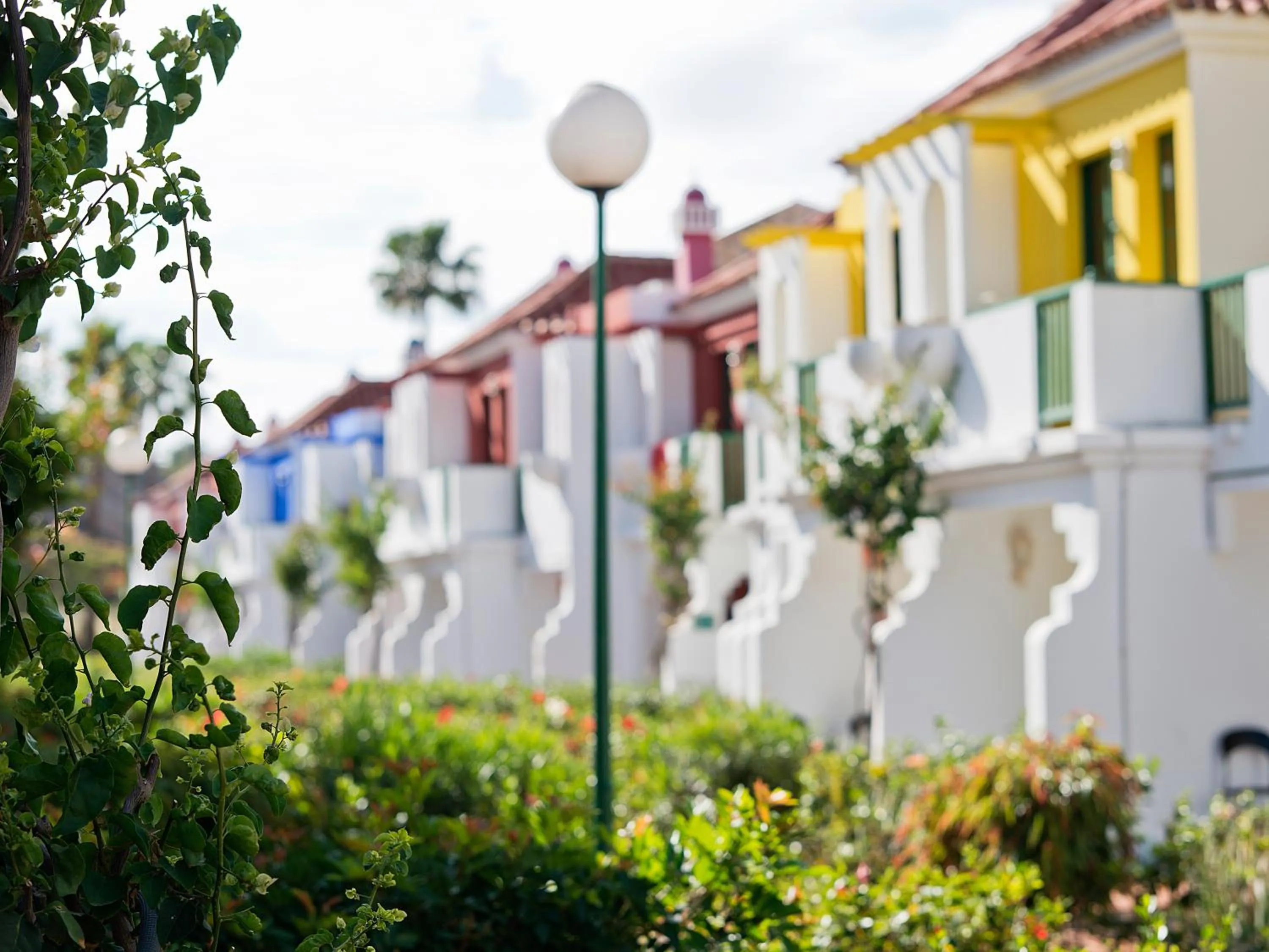 Day in Bungalows Vistaflor