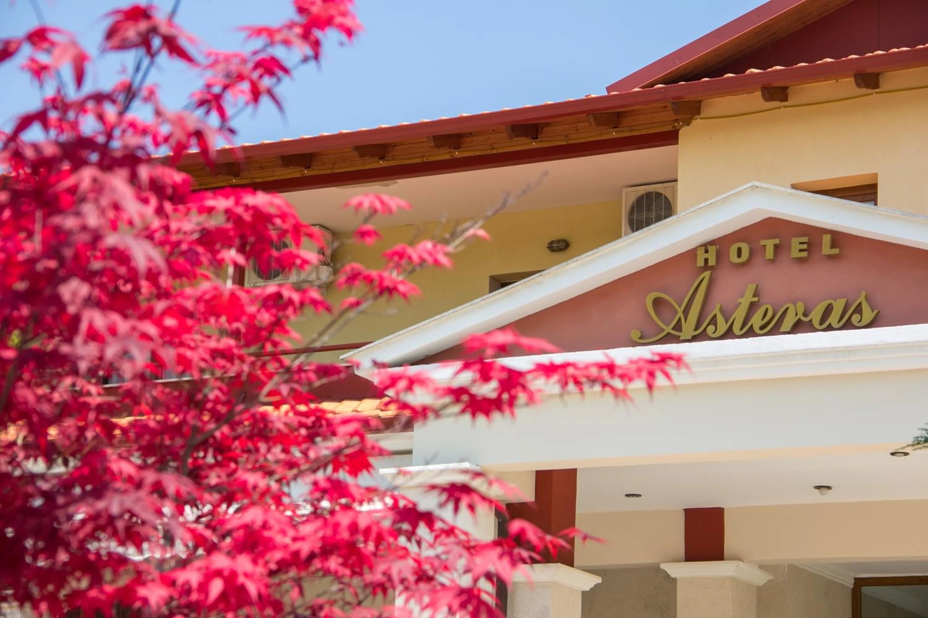 Asteras Hotel