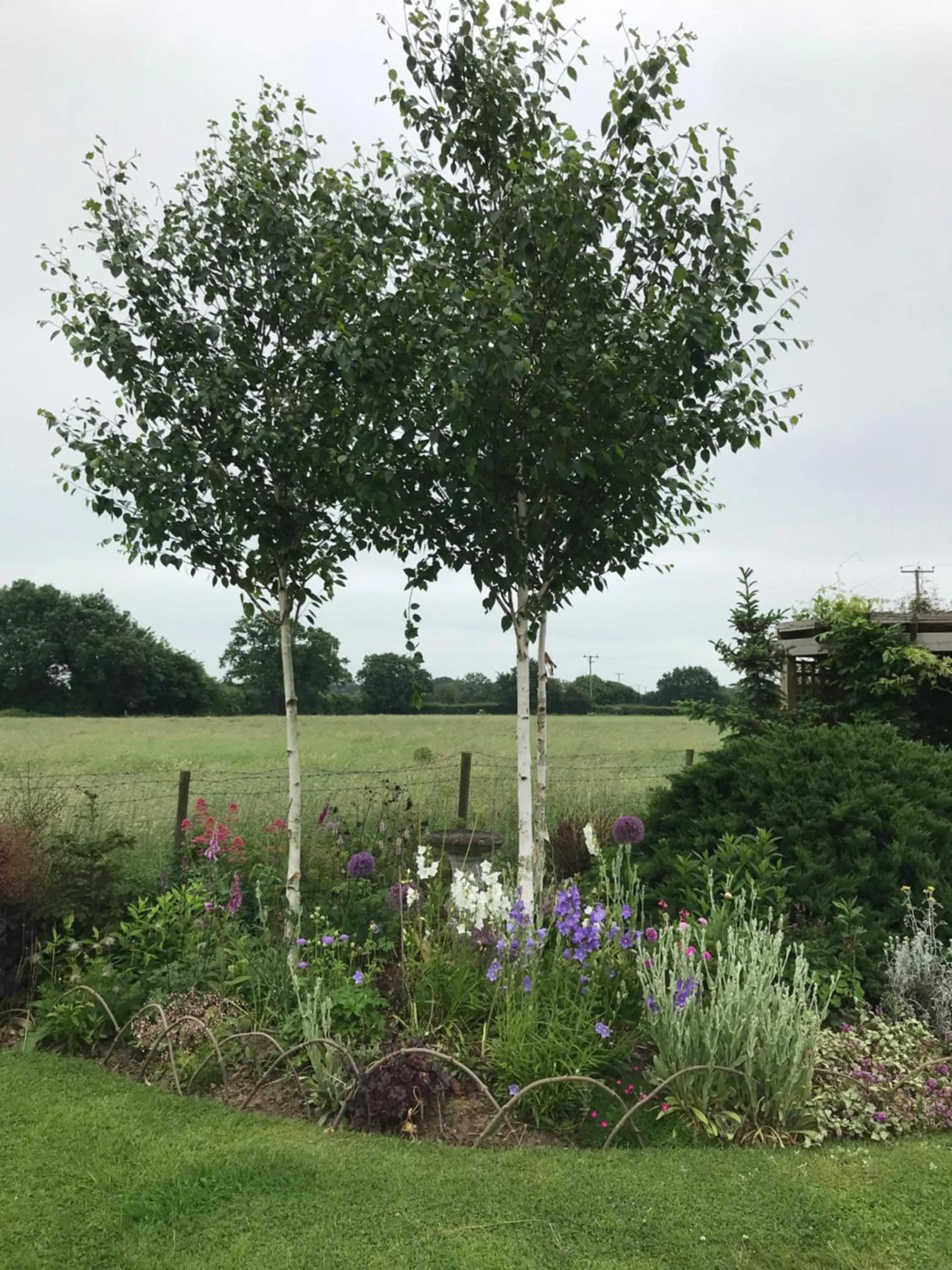 Garden view in Fair View