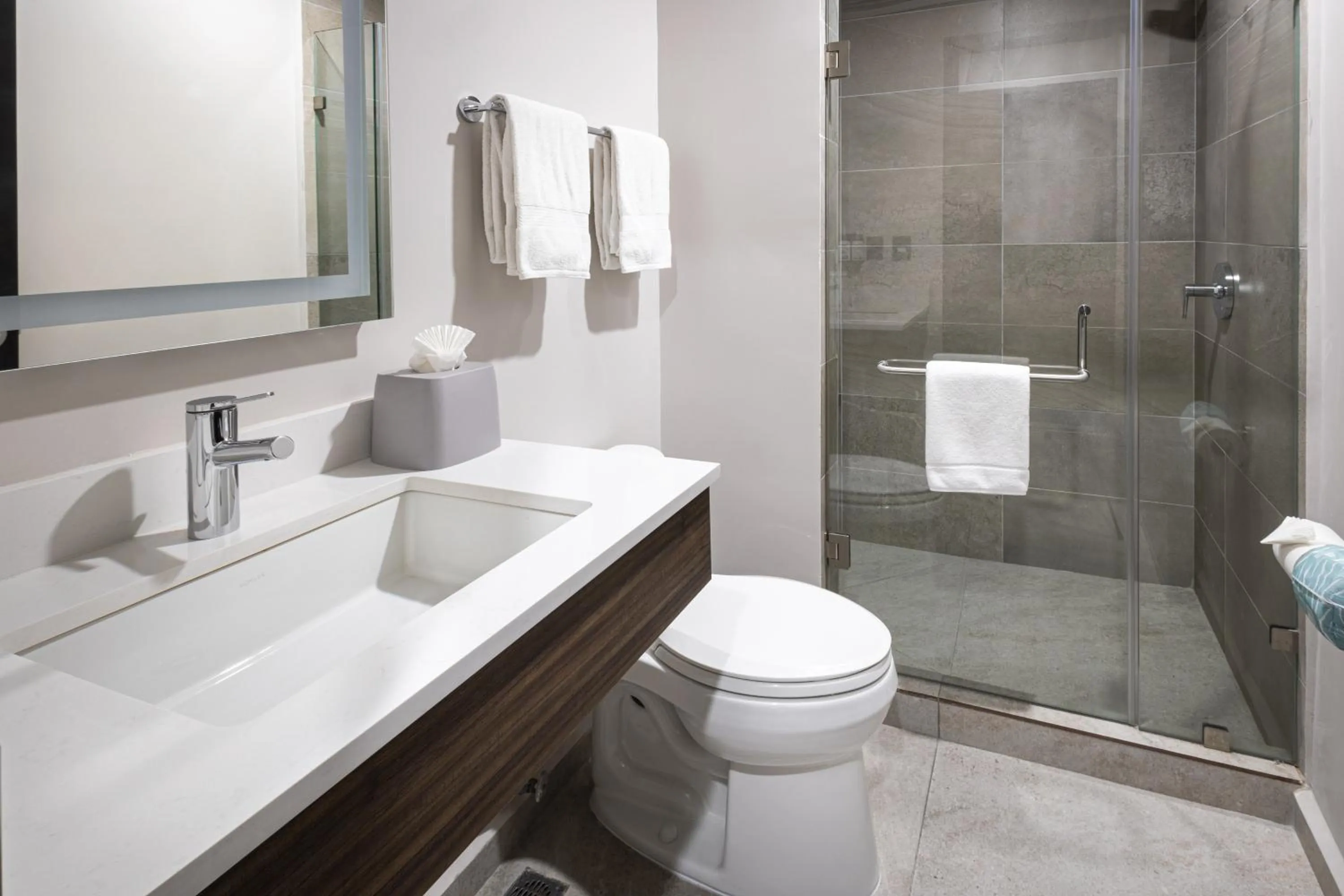 Shower in Holiday Inn Express Morelia Centro Historico