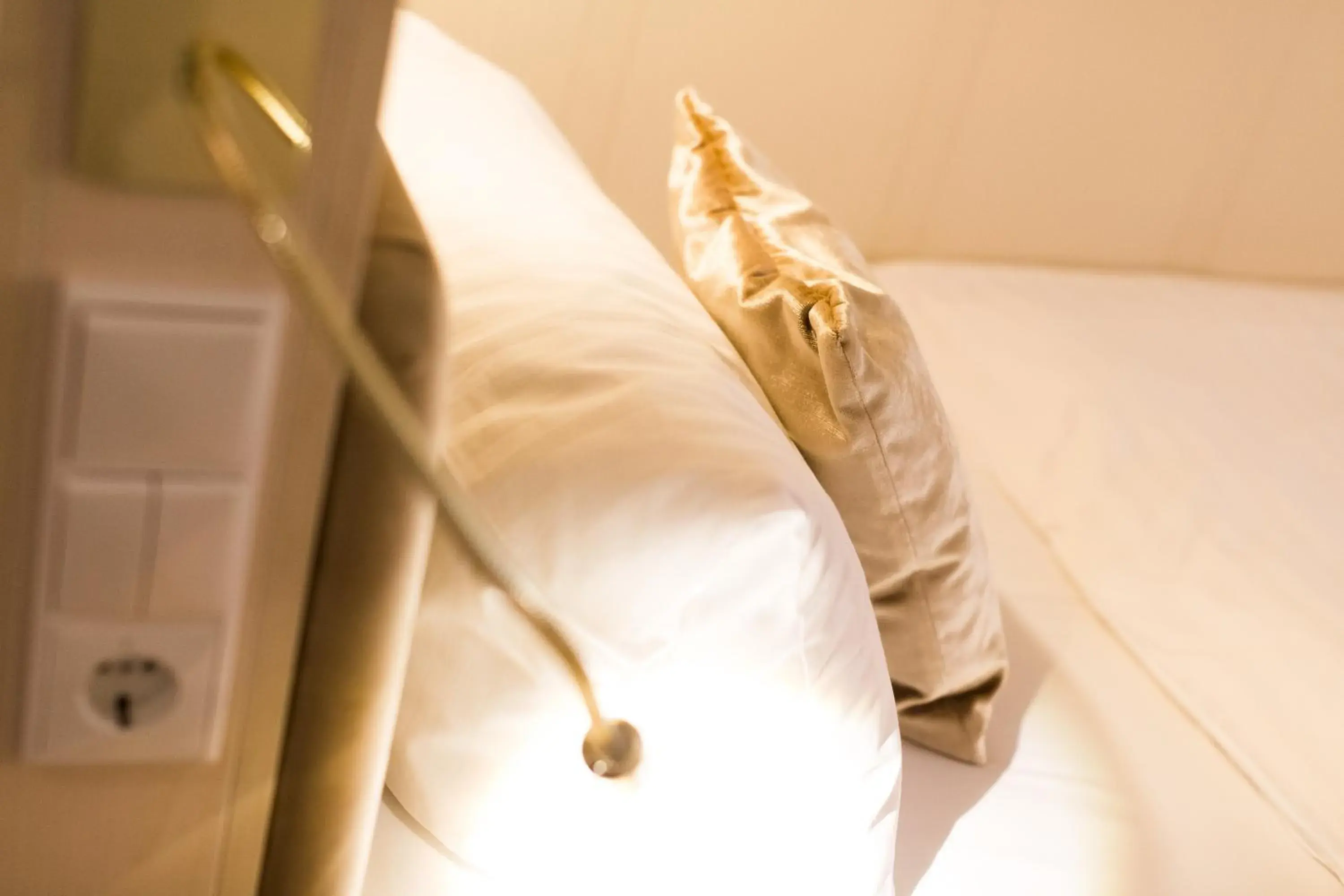 Single Room in Hotel Zum Zollhaus Single Room in Hotel Zum Zollhaus