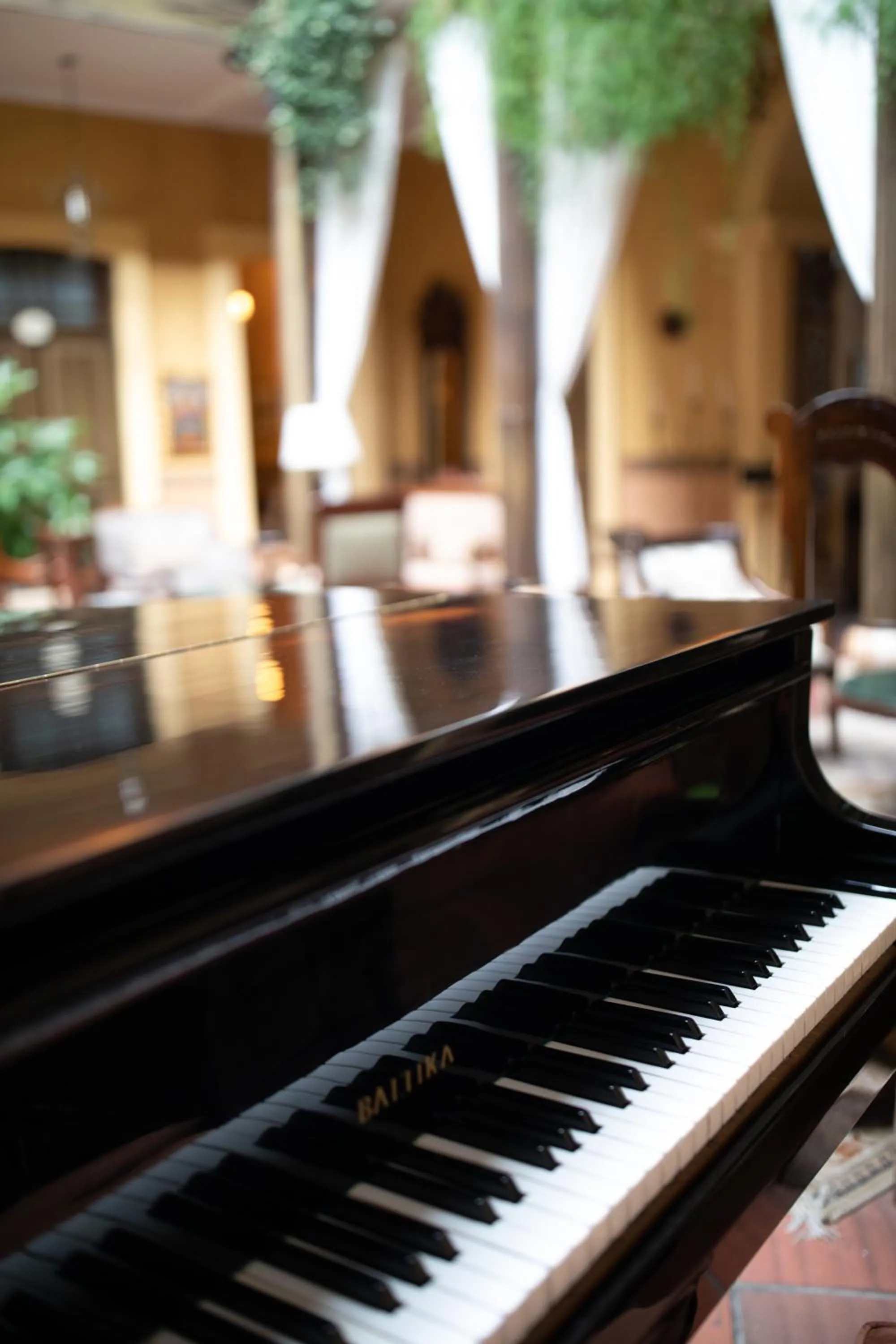 Entertainment in Mansion Alcazar