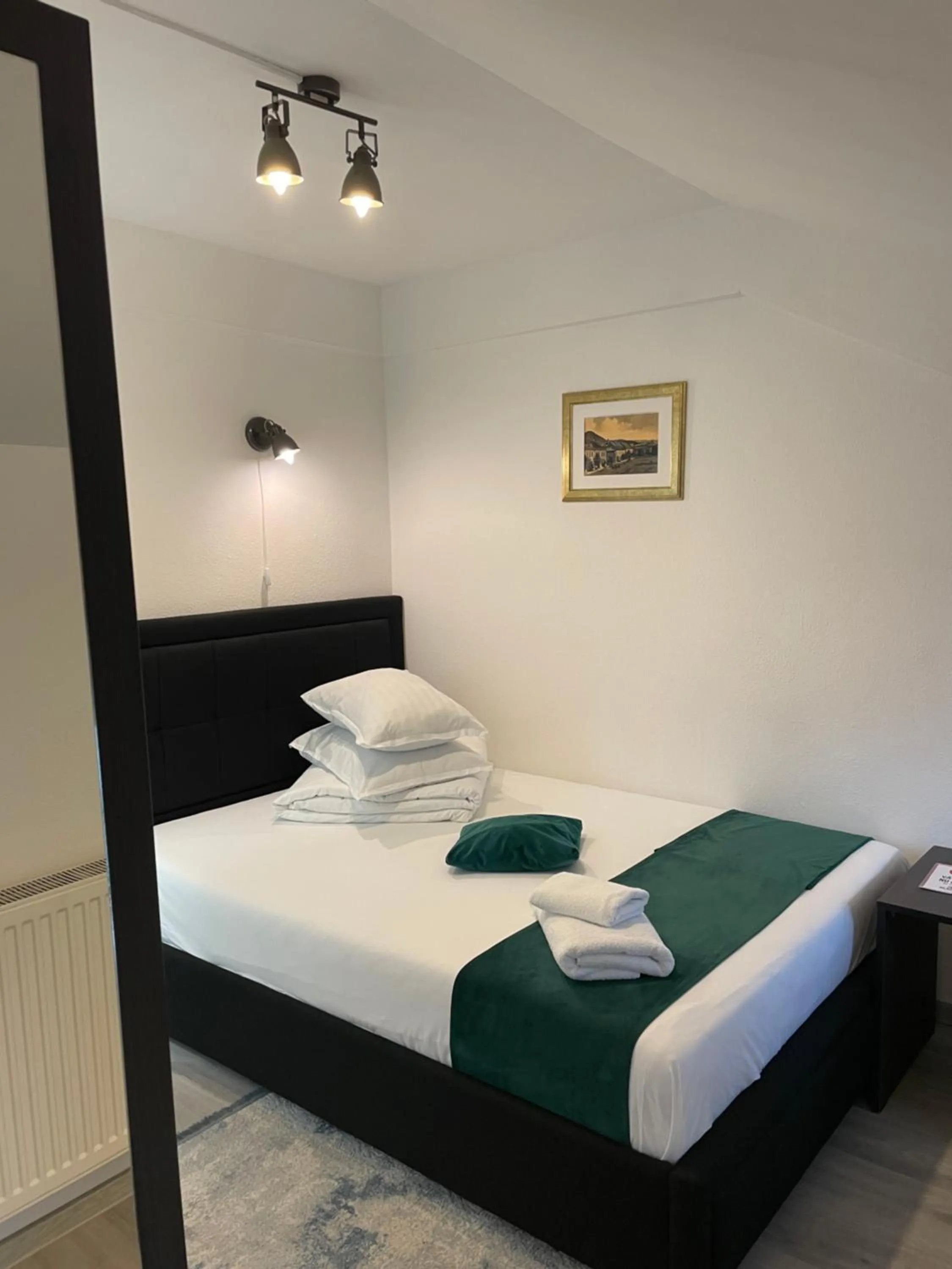 Bed in Pensiunea Pictorilor