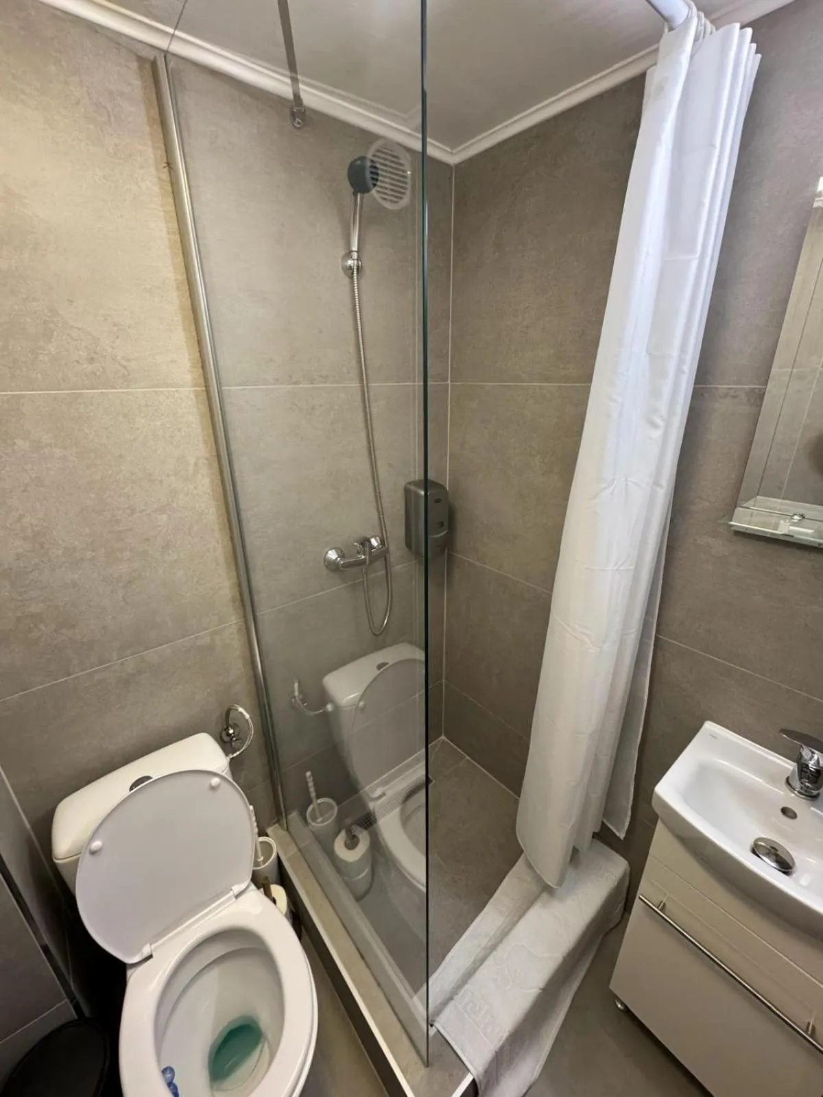 Toilet in Pensiunea Pictorilor