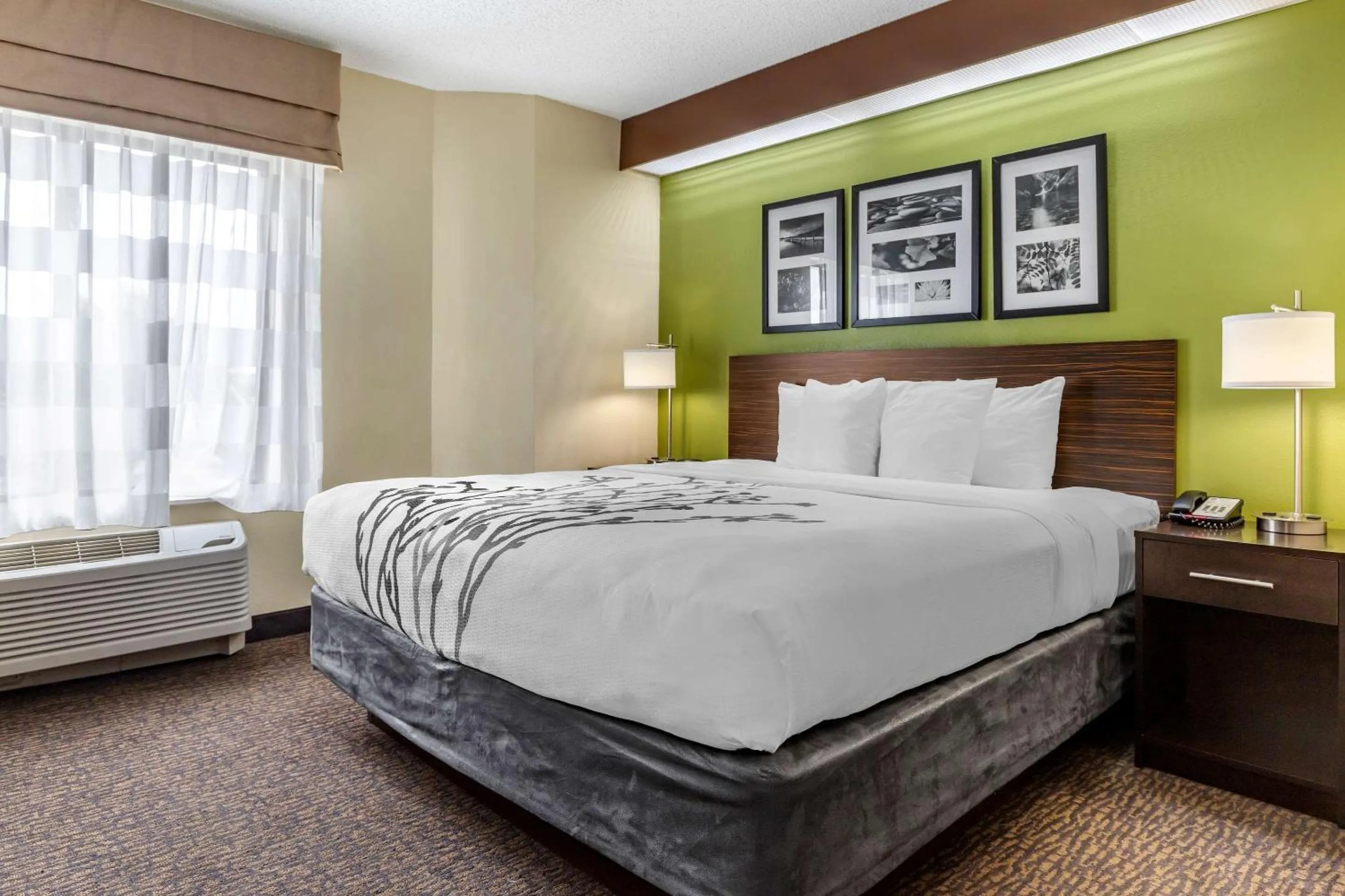 Bedroom, Bed in Sleep Inn Matthews-Charlotte