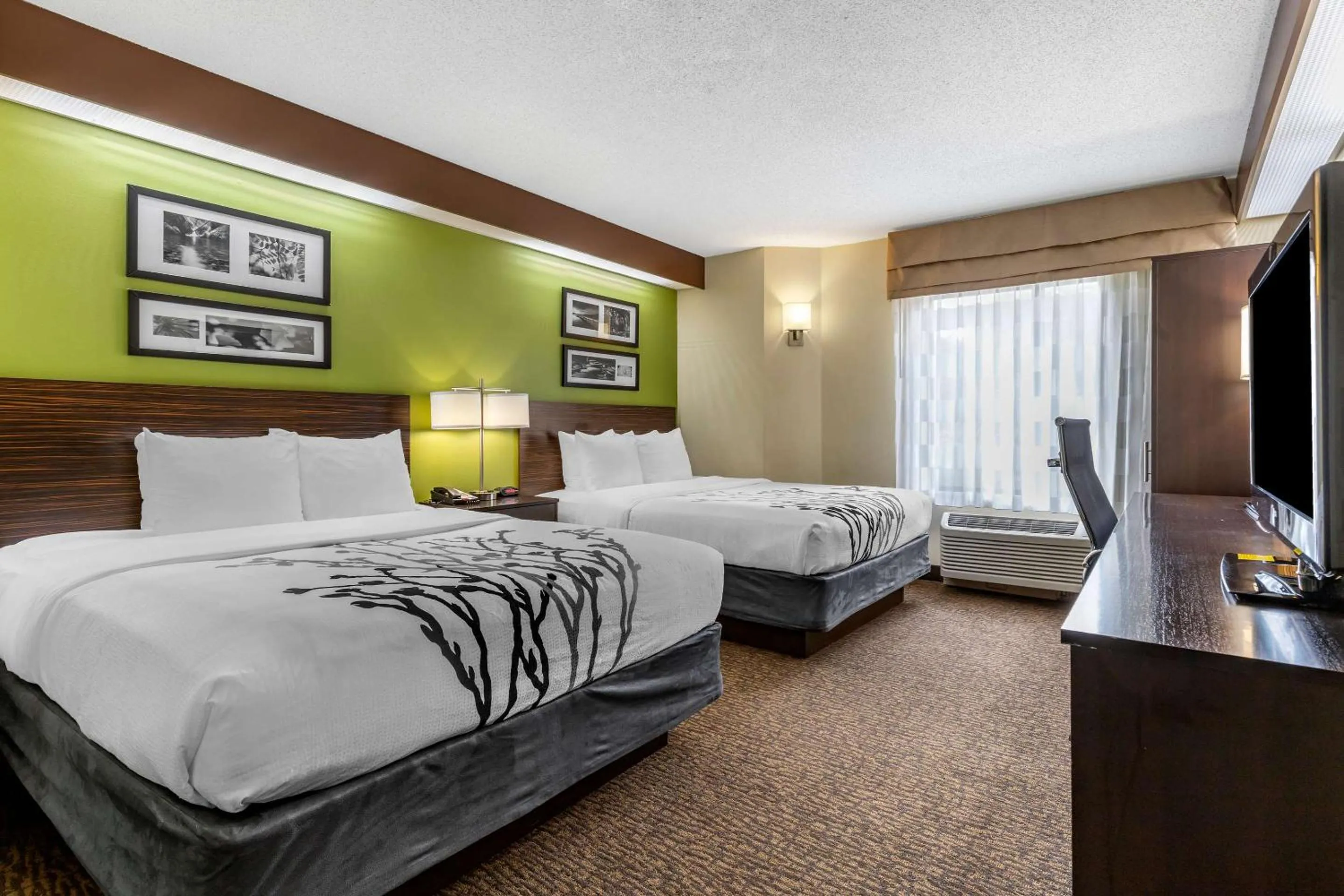 Bedroom, Bed in Sleep Inn Matthews-Charlotte