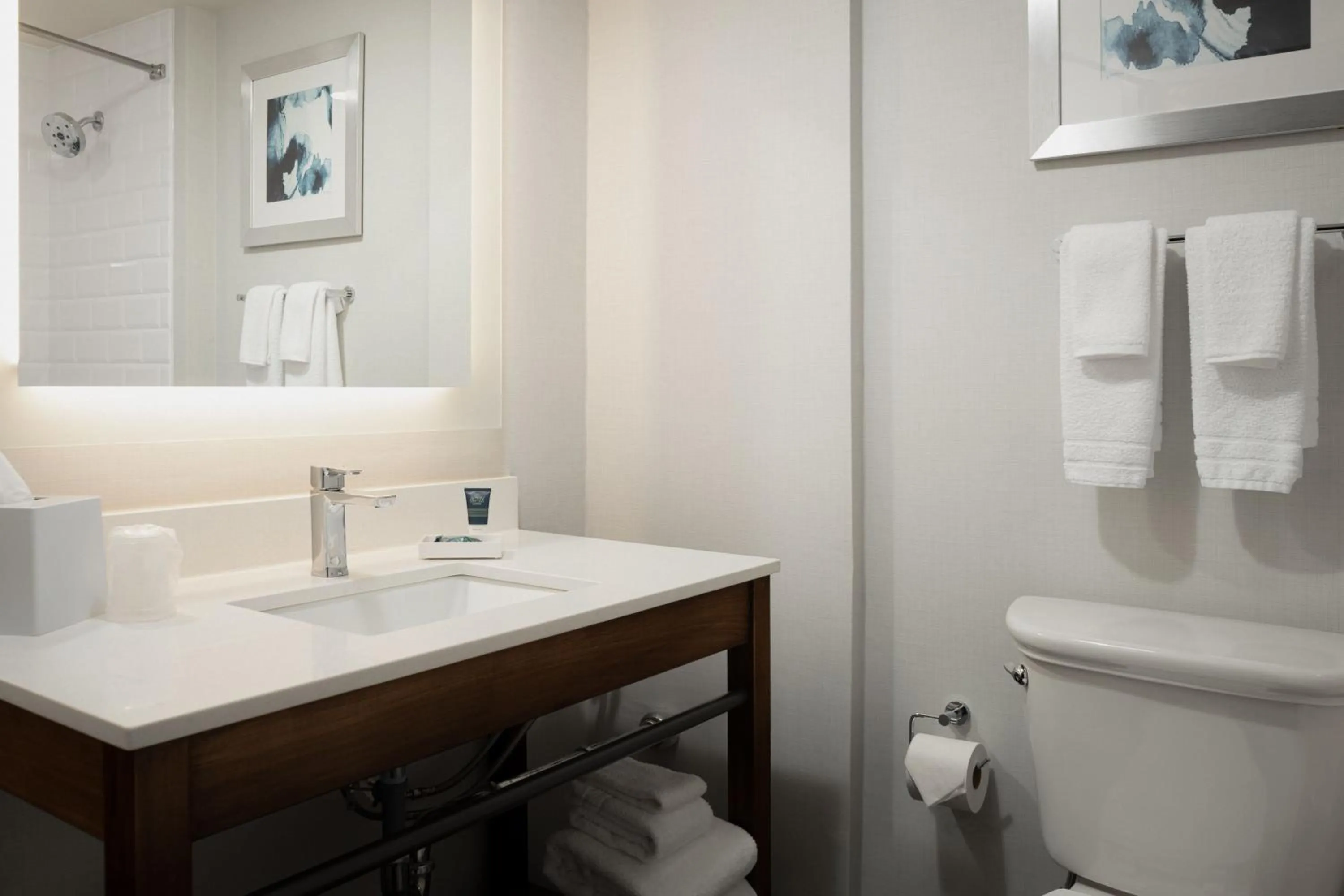 Bathroom in Four Points by Sheraton Milwaukee North Shore