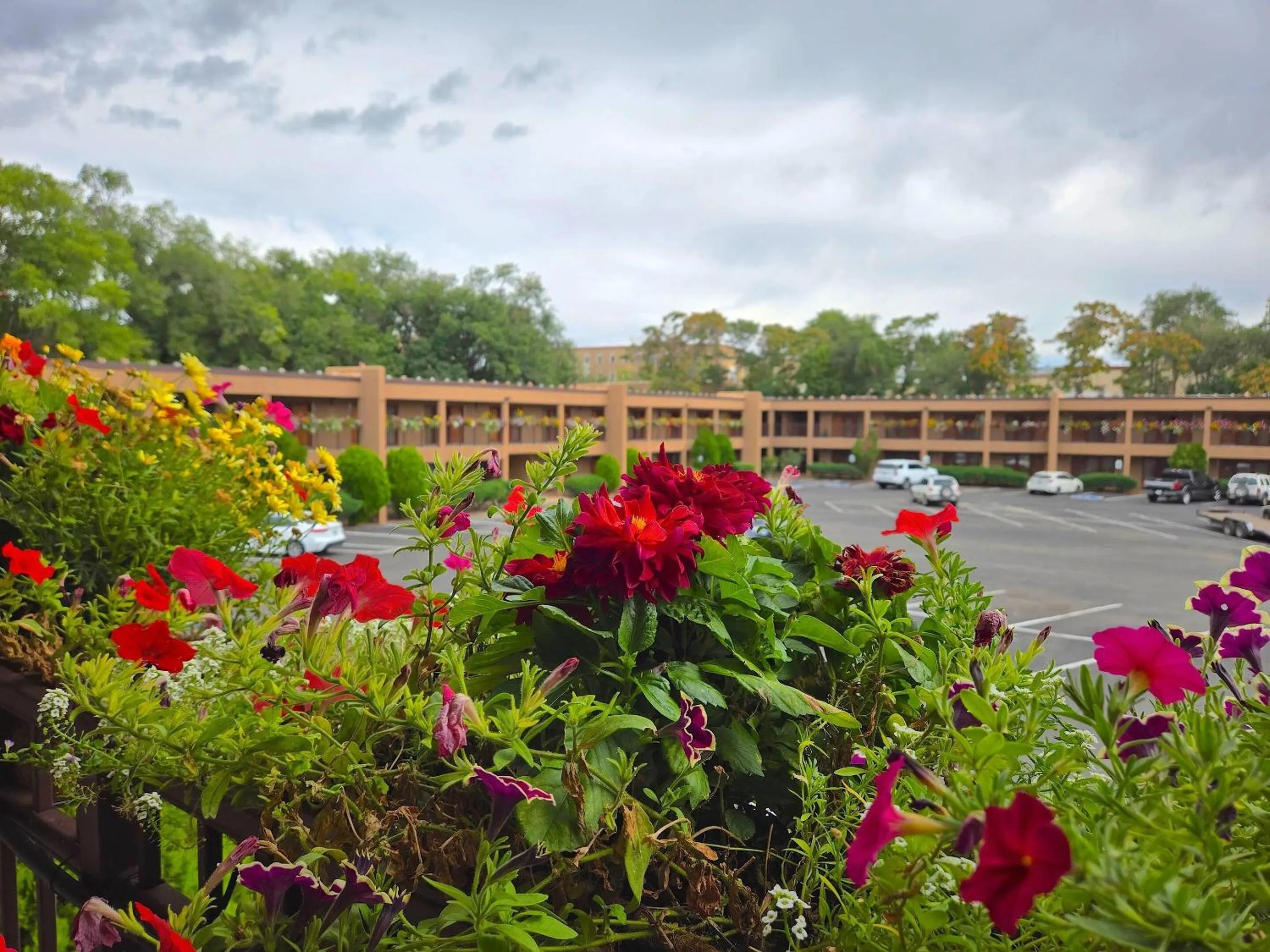Other in El Sendero Inn, an Ascend Collection Hotel
