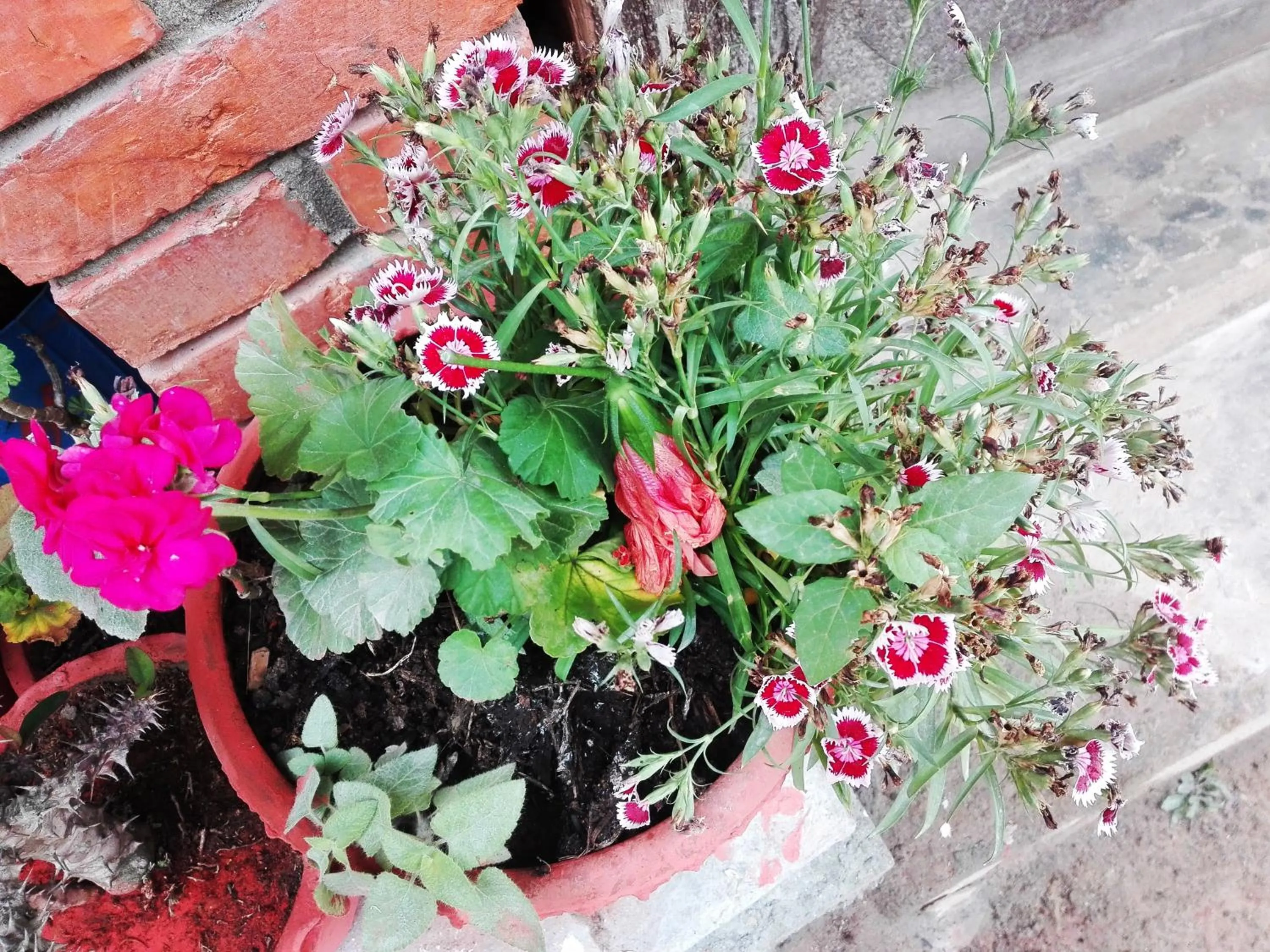 Property building in kayastha restaurant & lodge