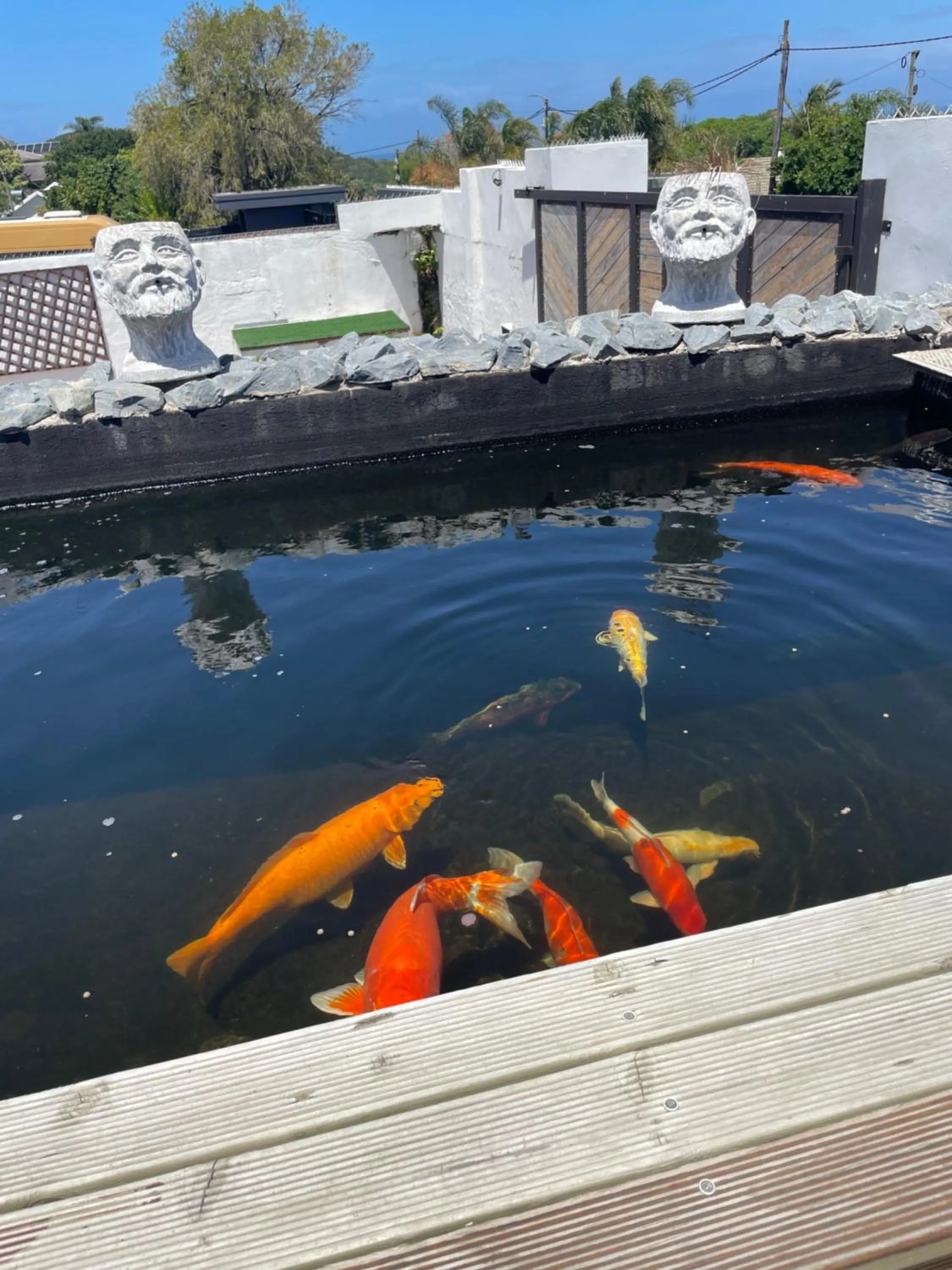 Property building in Reef View BnB