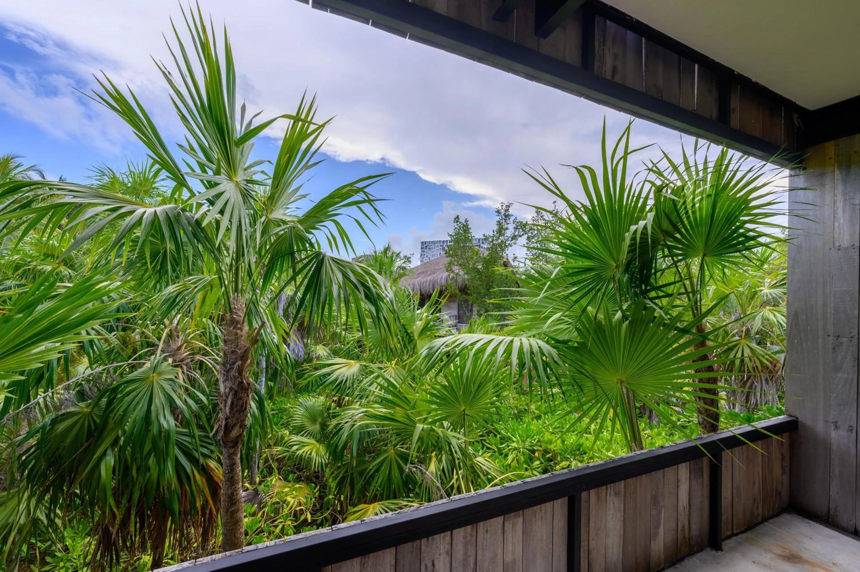 Day in Vida Silvestre Tulum