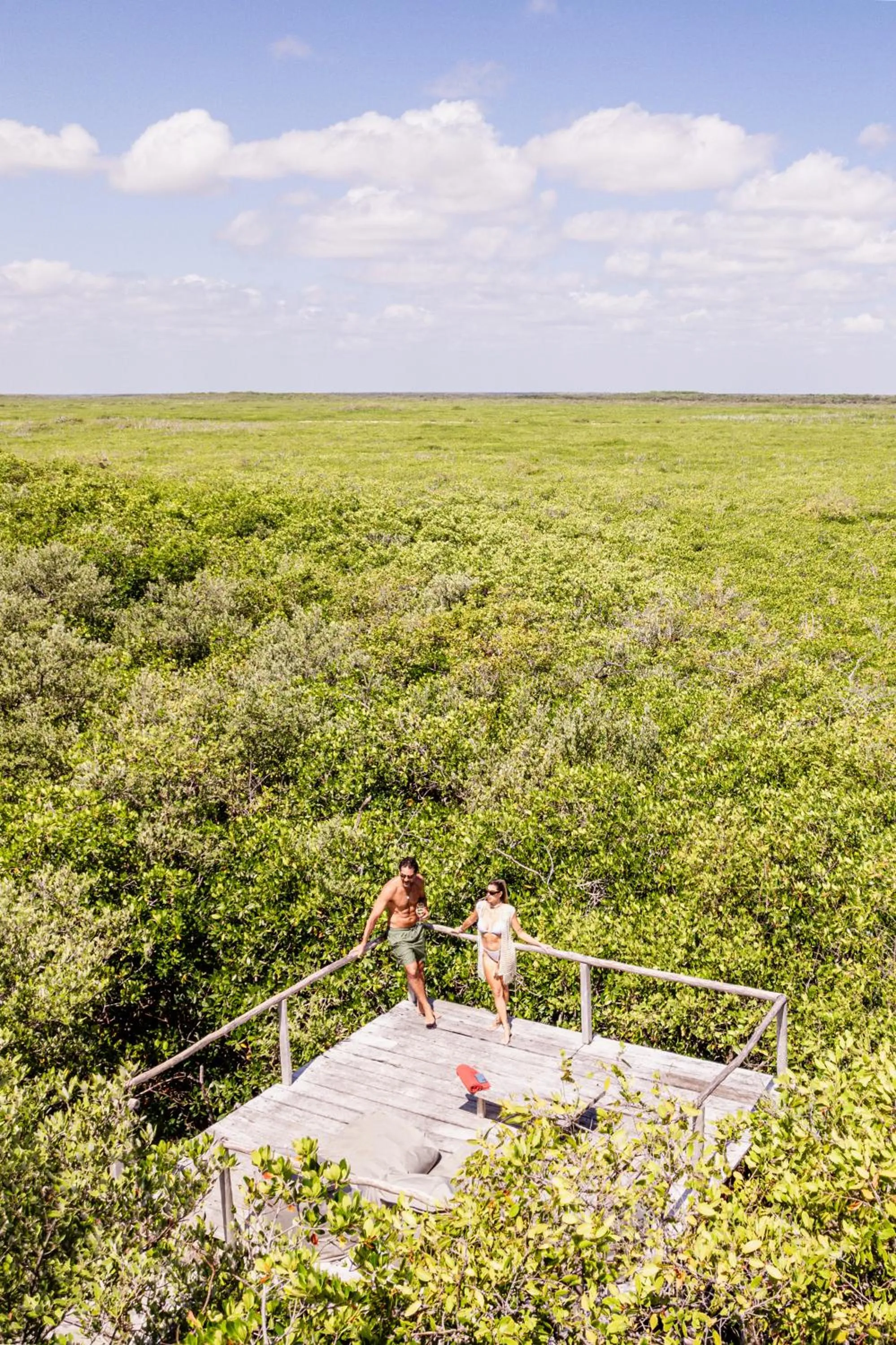 Natural landscape in Vida Silvestre