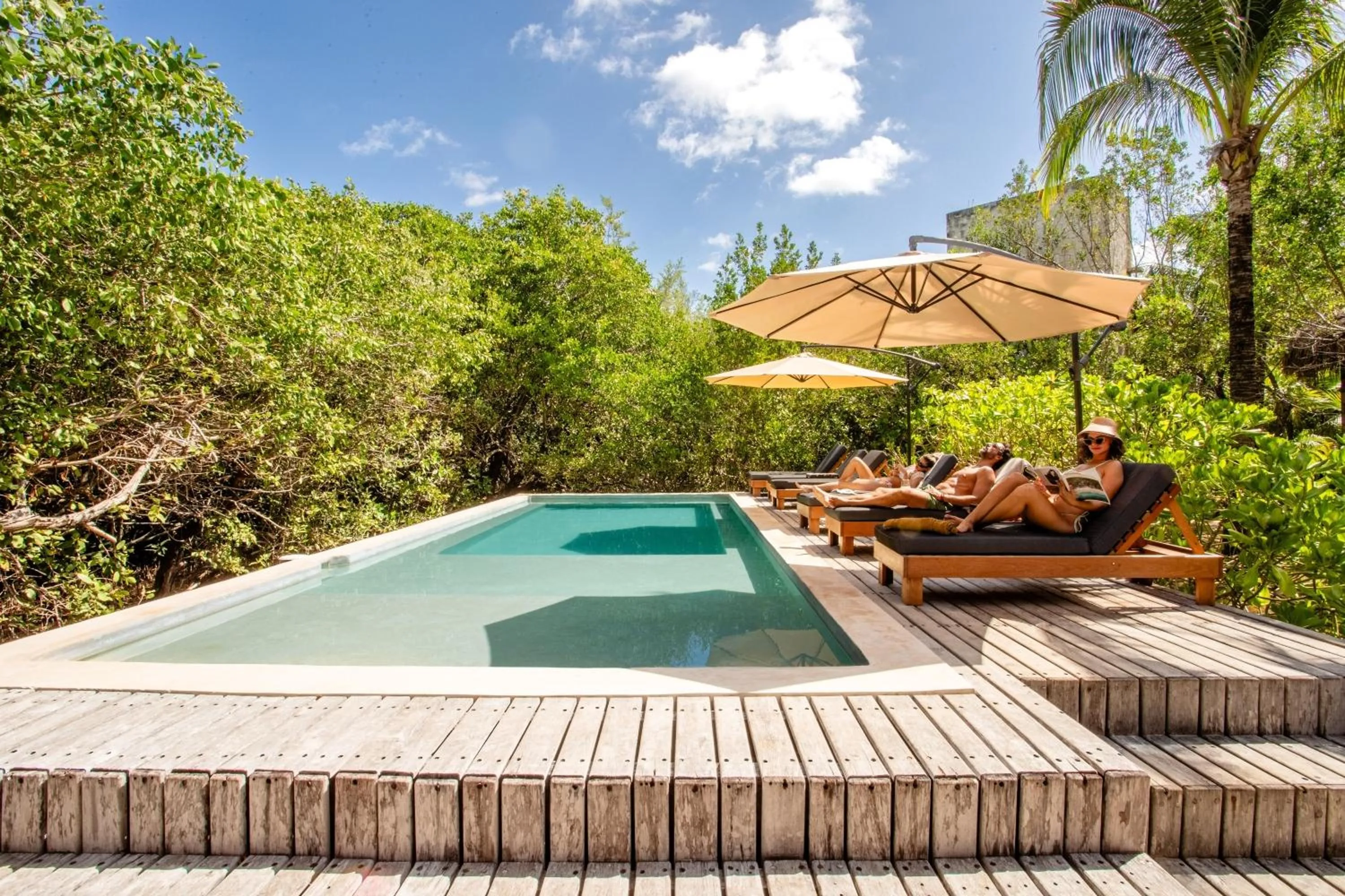 Natural landscape in Vida Silvestre