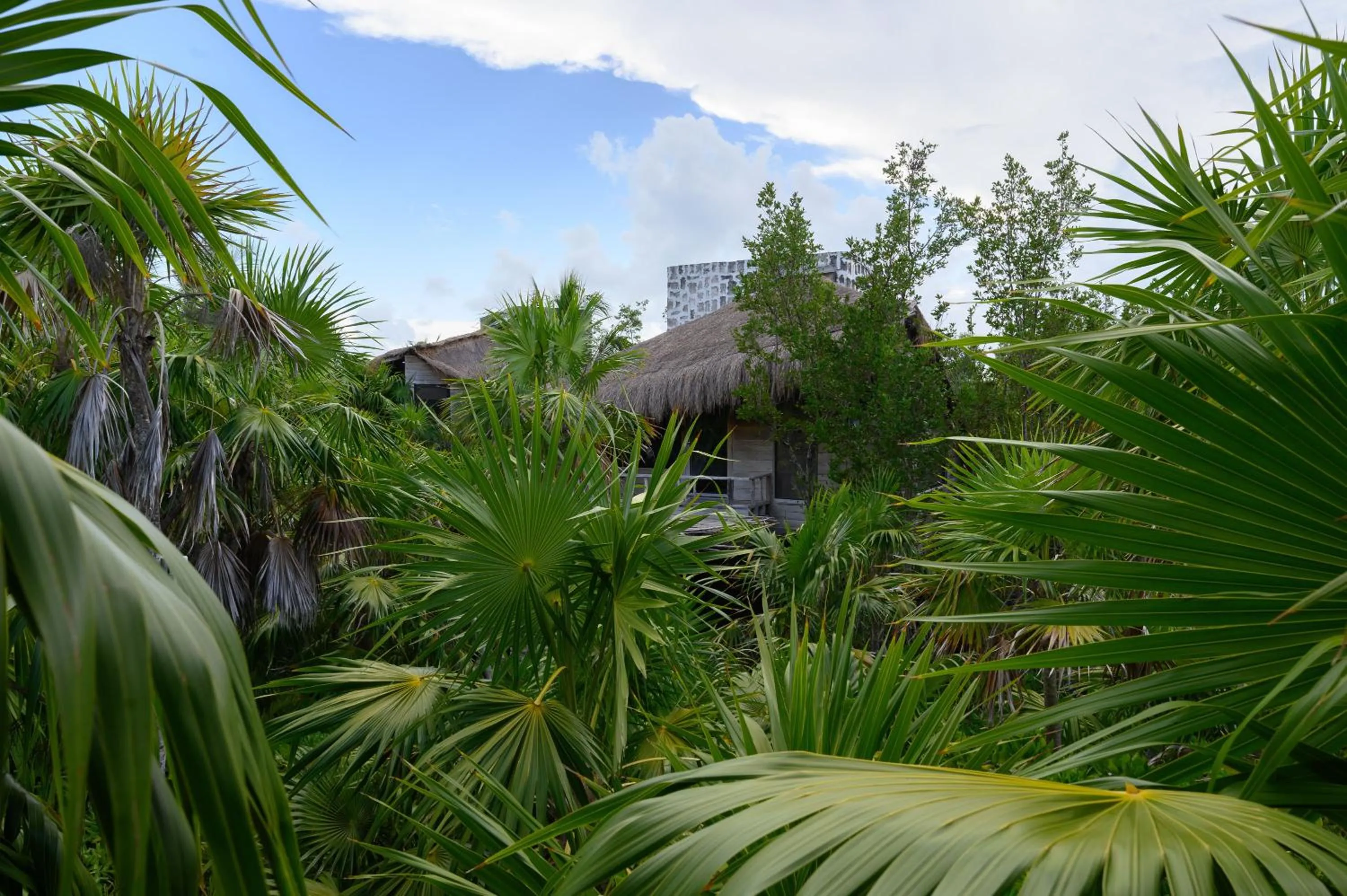 Day in Vida Silvestre Tulum