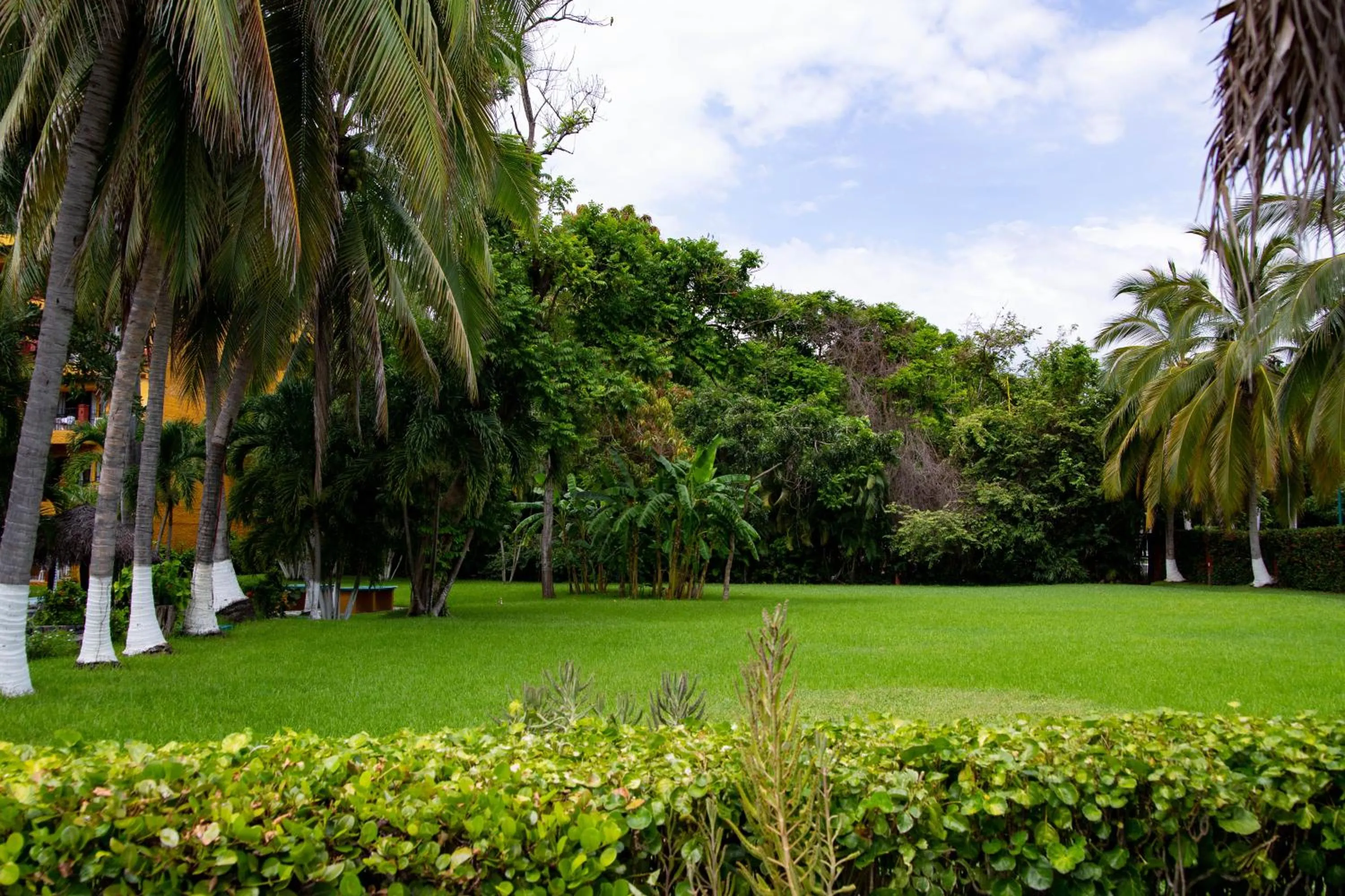 Garden in Hotel Puerta Del Mar Ixtapa