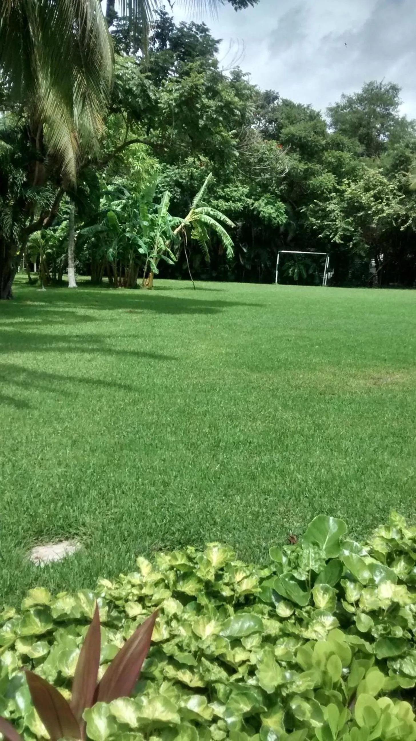 Garden in Hotel Puerta Del Mar Ixtapa