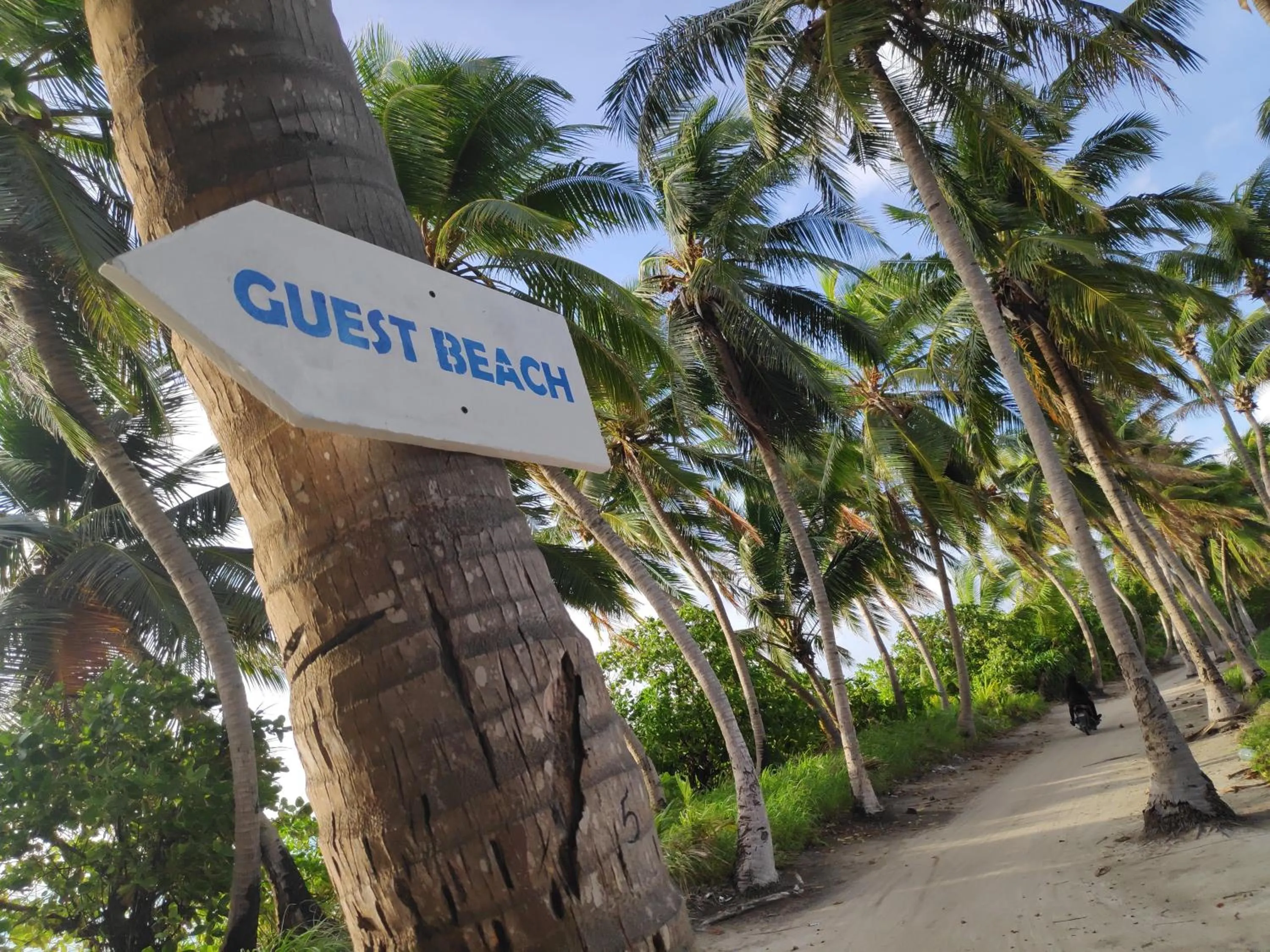 Off site in Athiriveli