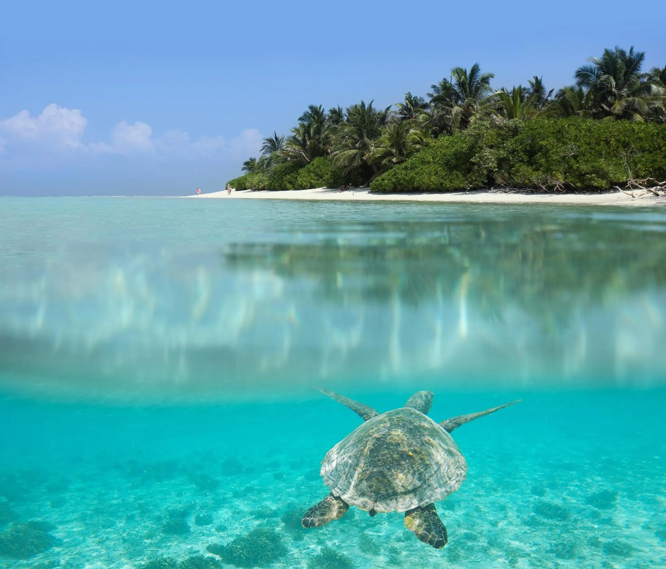 Natural landscape in Athiriveli