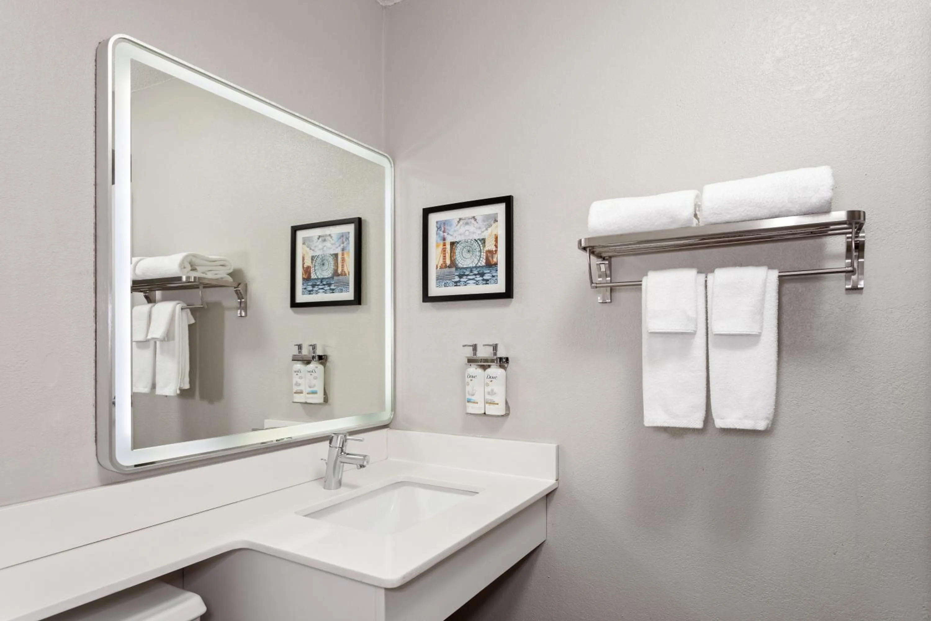 Bathroom in Holiday Inn Chicago/Oak Brook by IHG