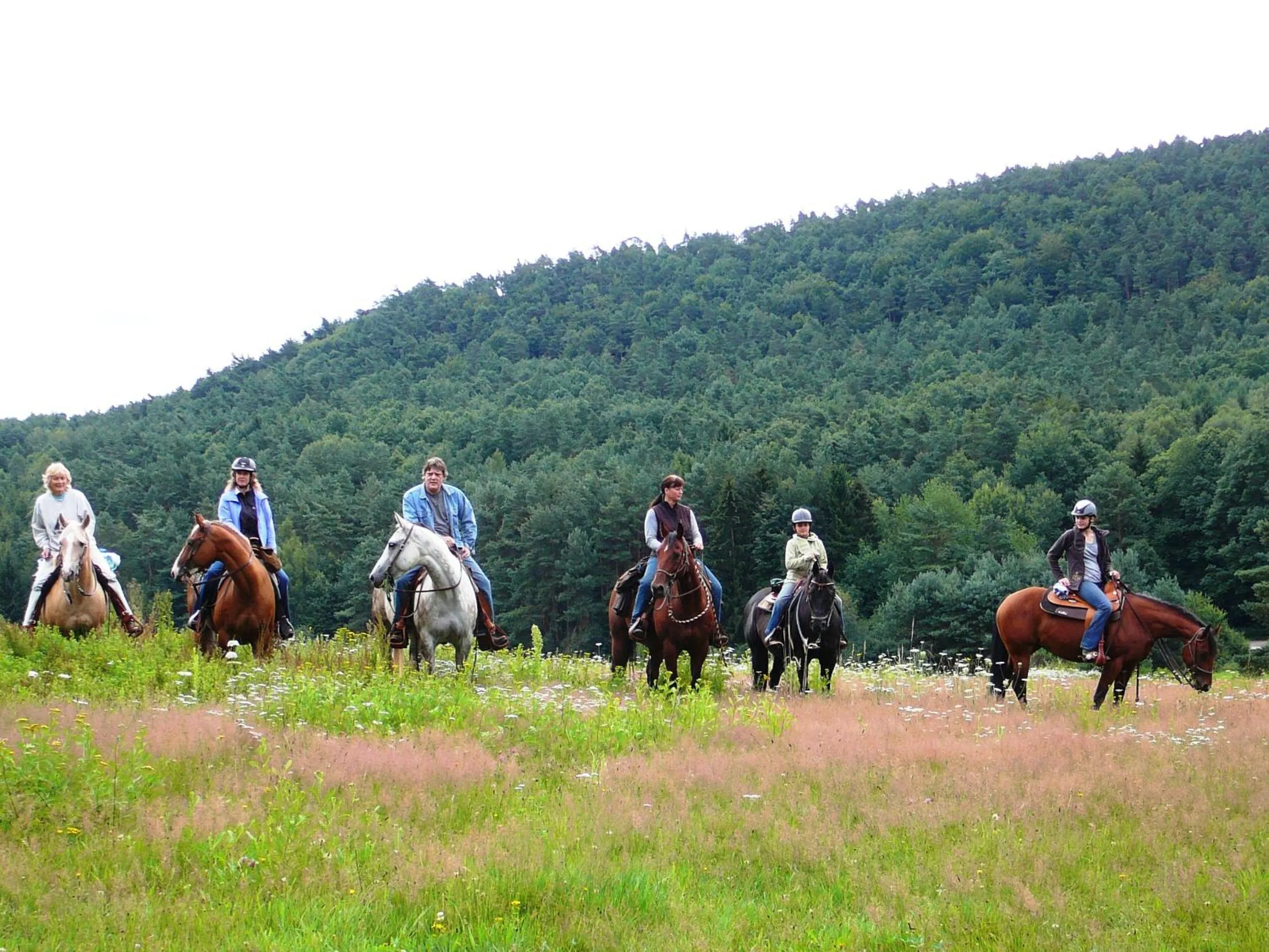 Horse-riding in Zum Ochsen