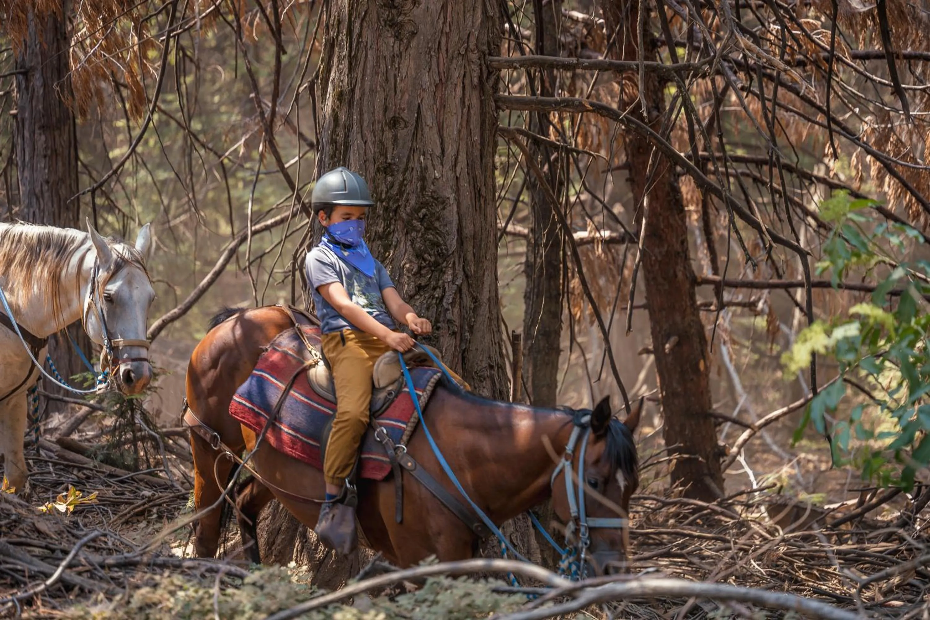 Activities in Tenaya at Yosemite