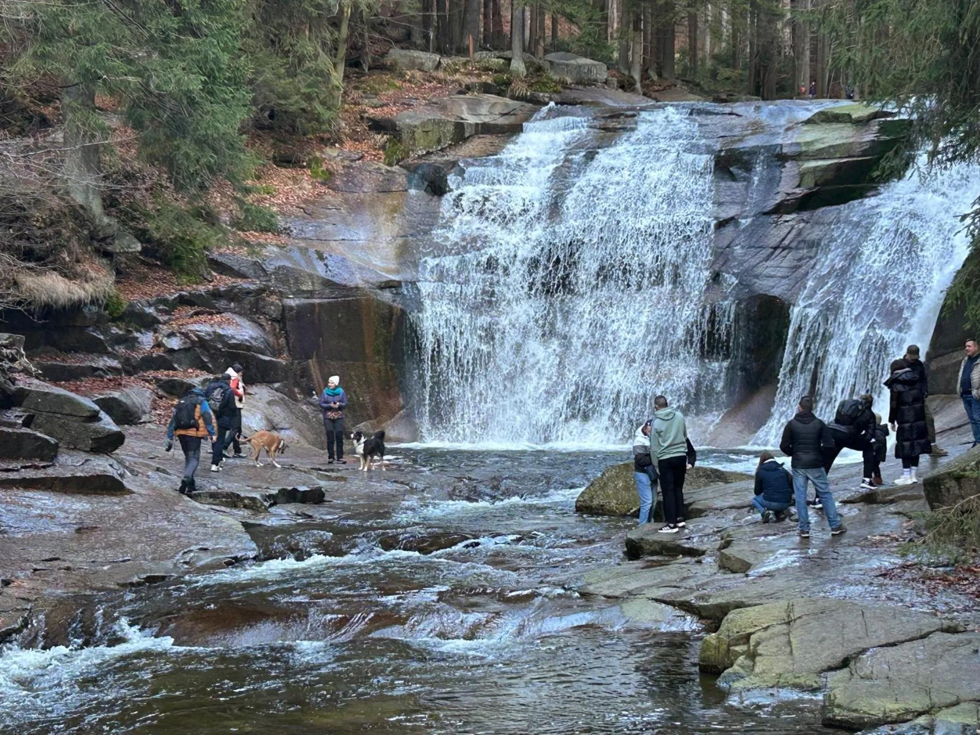 Apartmány Gryf Harrachov