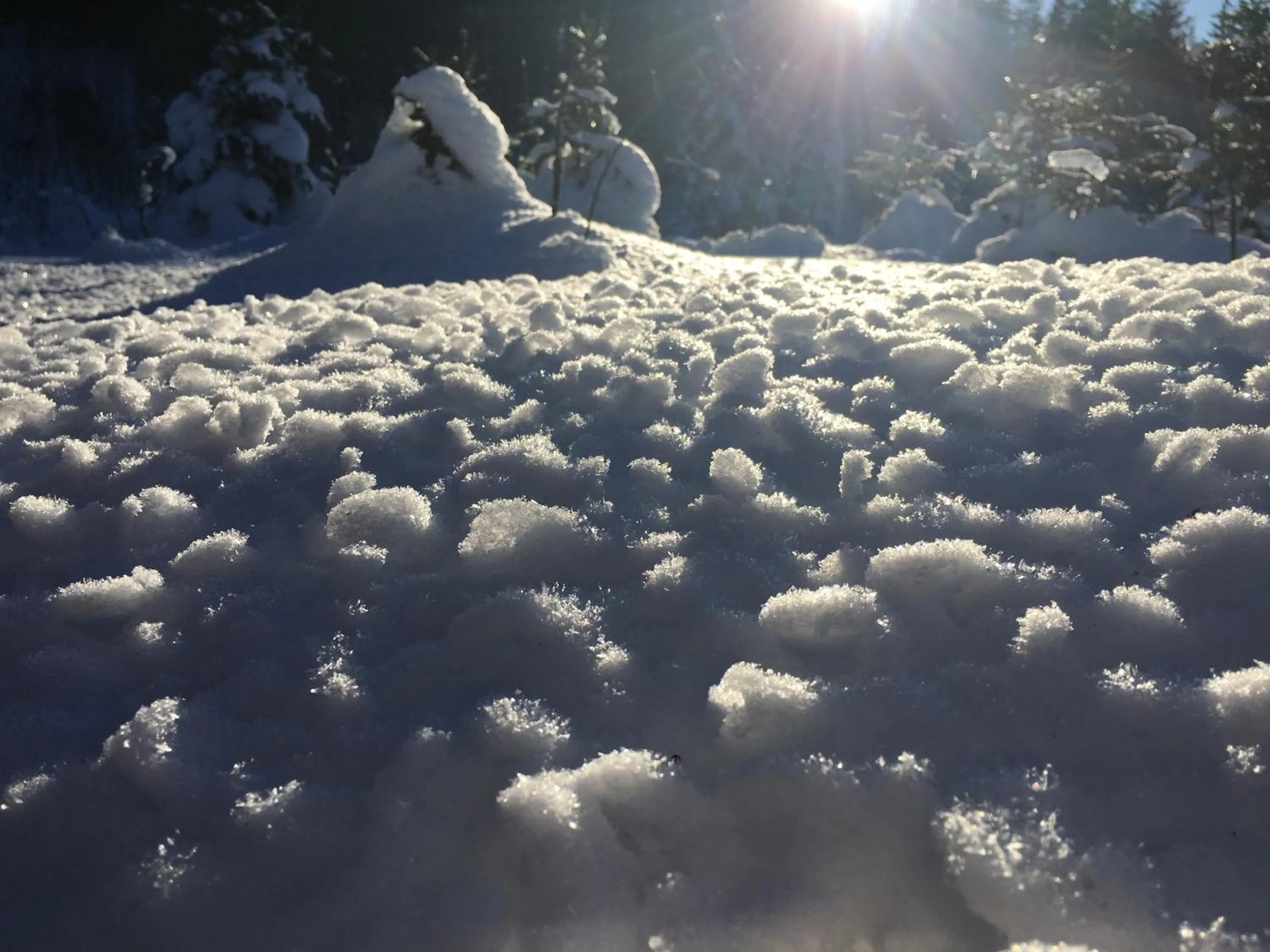 Day in Schwarzwald-Hotel Kraeutle
