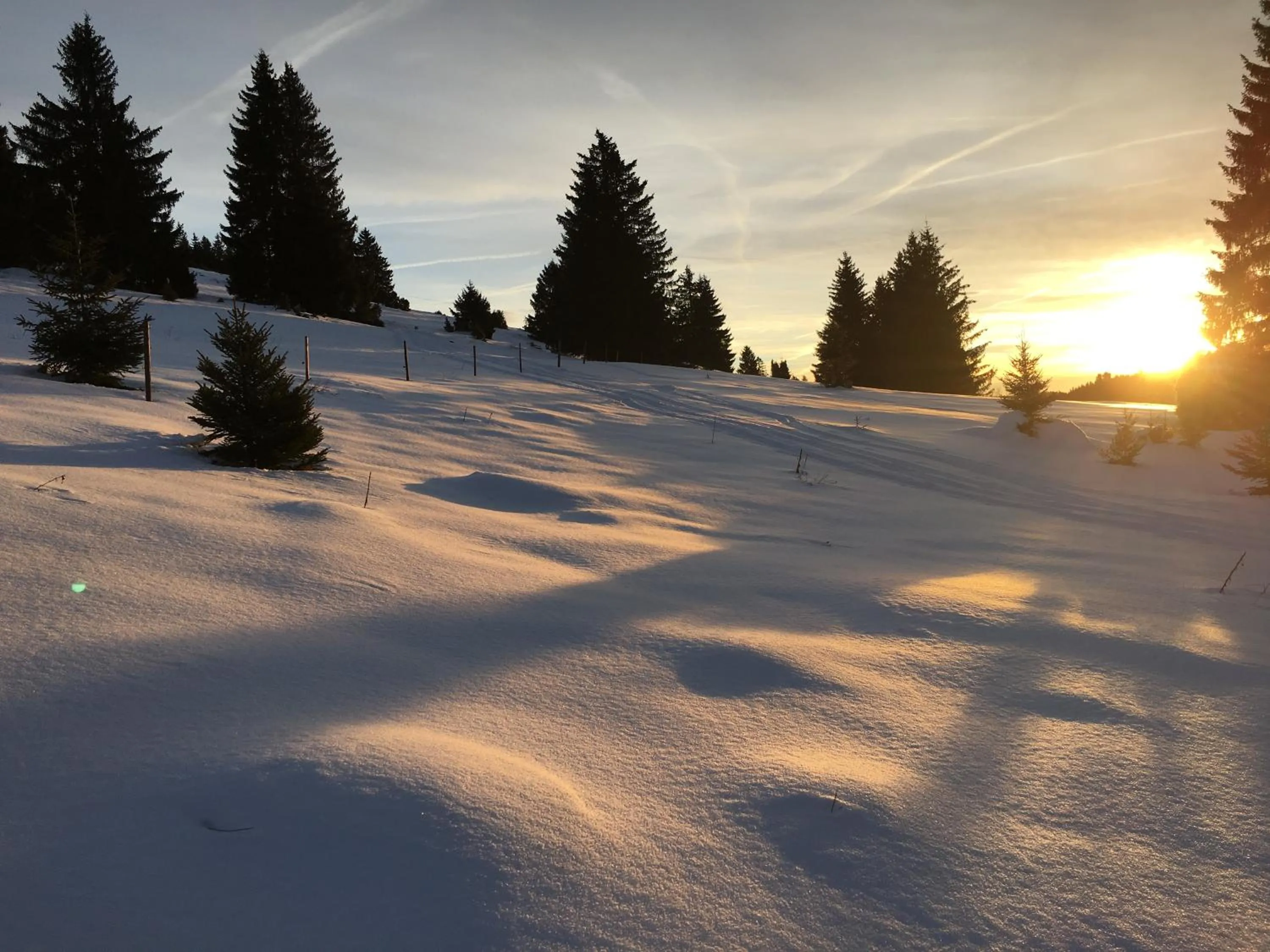 Natural landscape in Schwarzwald-Hotel Kraeutle