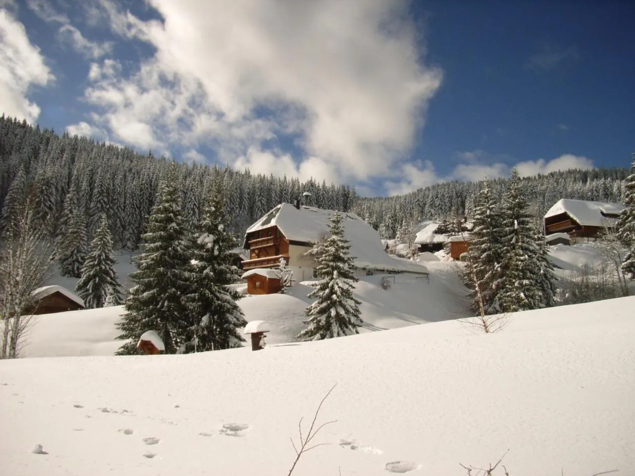 Winter in Schwarzwald-Hotel Kraeutle