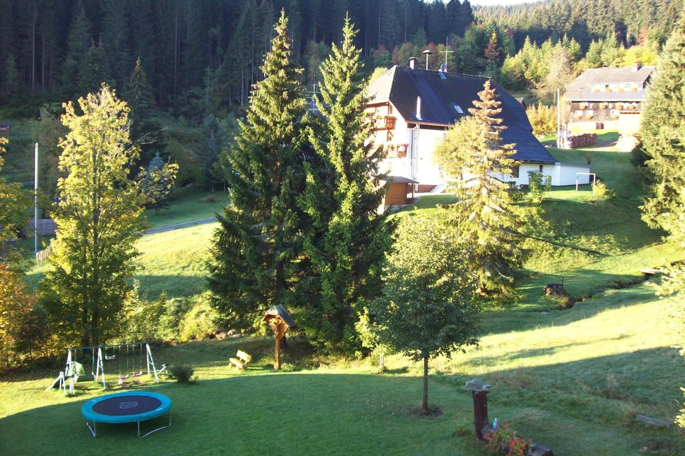 Garden view in Schwarzwald-Hotel Kraeutle