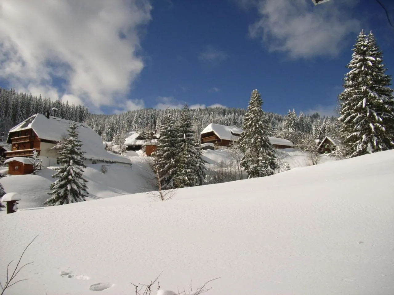 Winter in Schwarzwald-Hotel Kraeutle