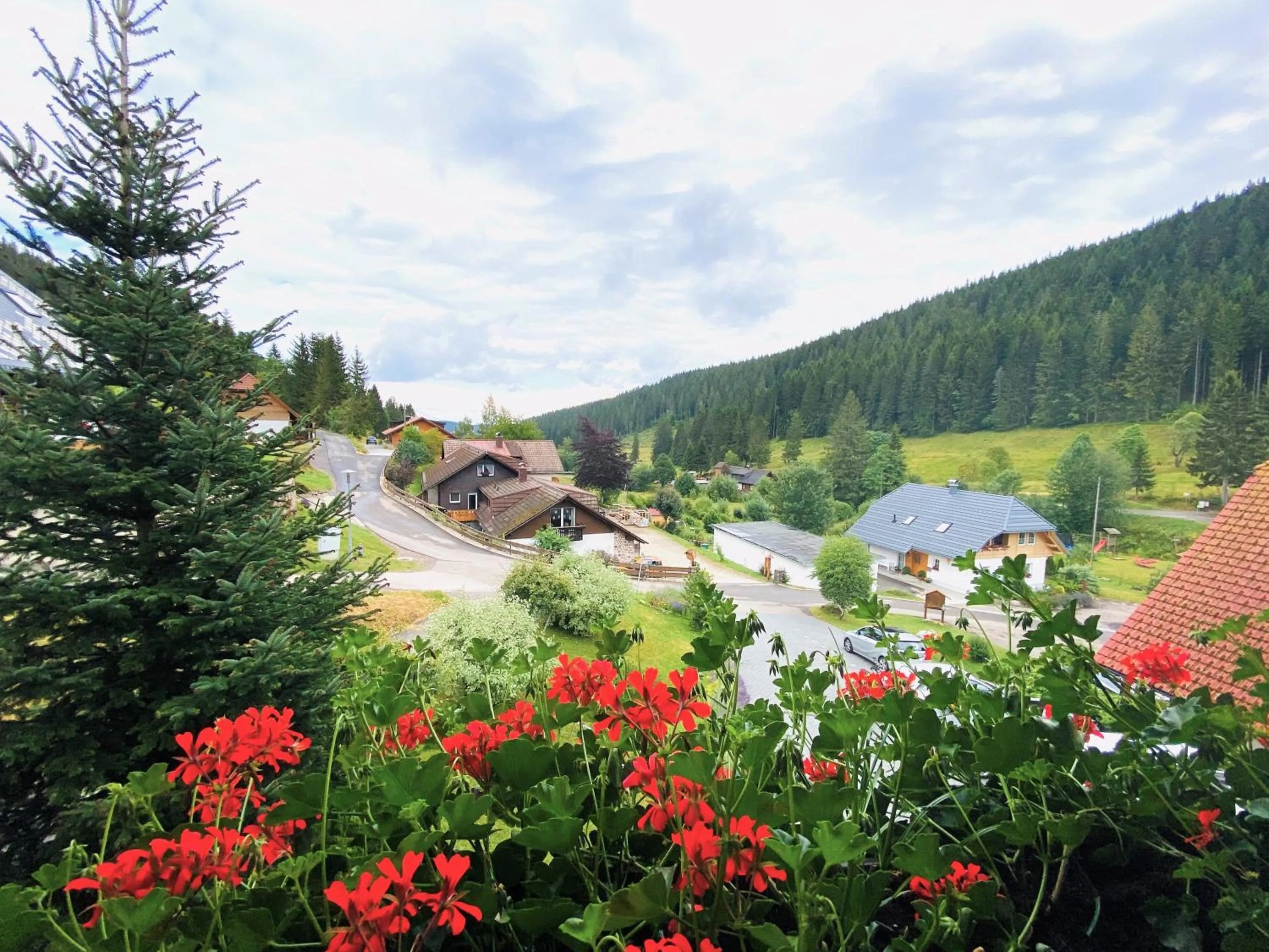 Natural landscape in Schwarzwald-Hotel Kraeutle