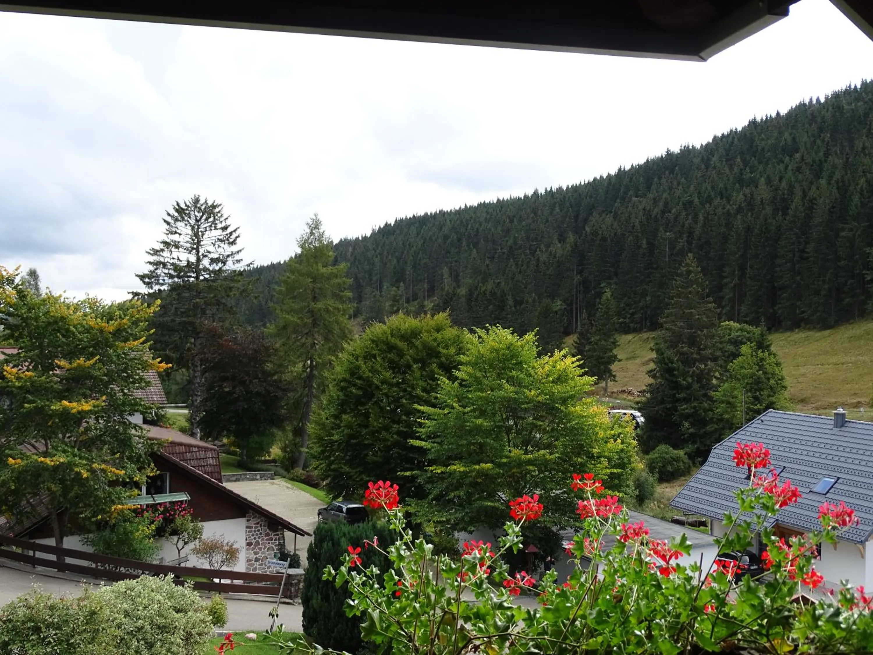Mountain view in Schwarzwald-Hotel Kraeutle