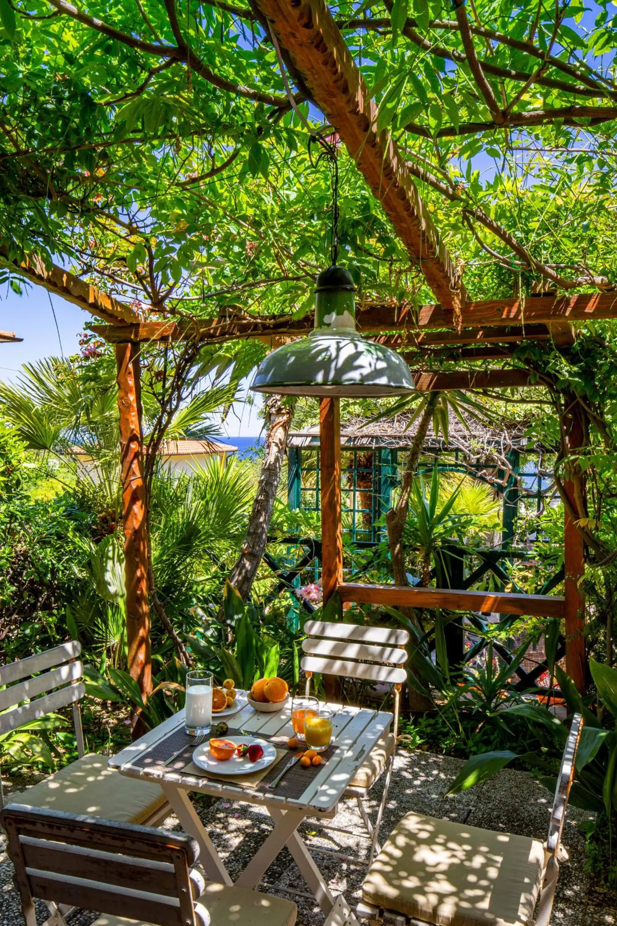 Patio in Hotel Cernia Isola Botanica