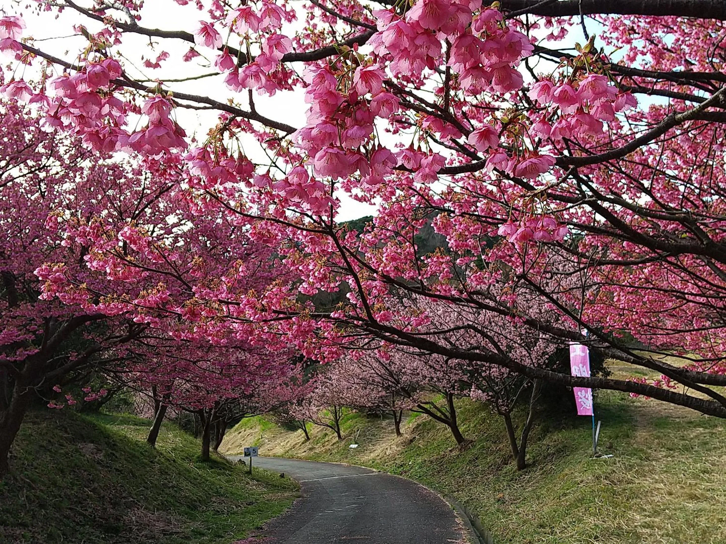 Koibito Misaki Pension Marine Mates